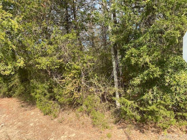 00 N Lliy And Hwy 60 Highway Property Photo 7