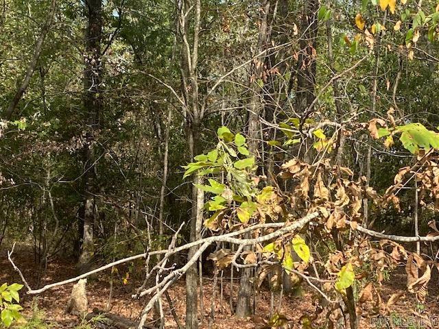 00 N Lliy And Hwy 60 Highway Property Photo 8