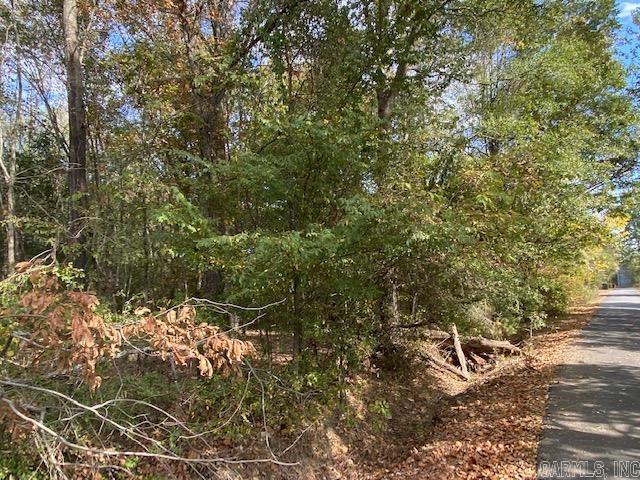 00 N Lliy And Hwy 60 Highway Property Photo 10