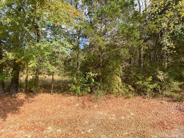 00 N Lliy And Hwy 60 Highway Property Photo 13