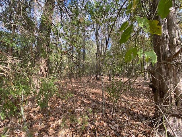 00 N Lliy And Hwy 60 Highway Property Photo 17