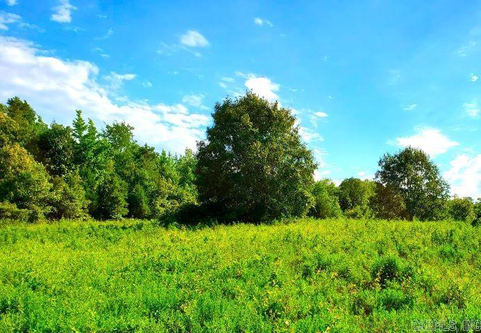 Tract 4 Jaymeson Road Property Photo 1