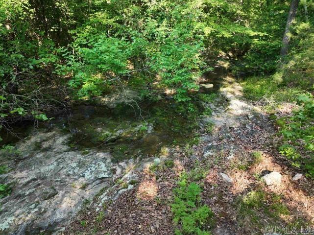 Tract 4 Jaymeson Road Property Photo 4