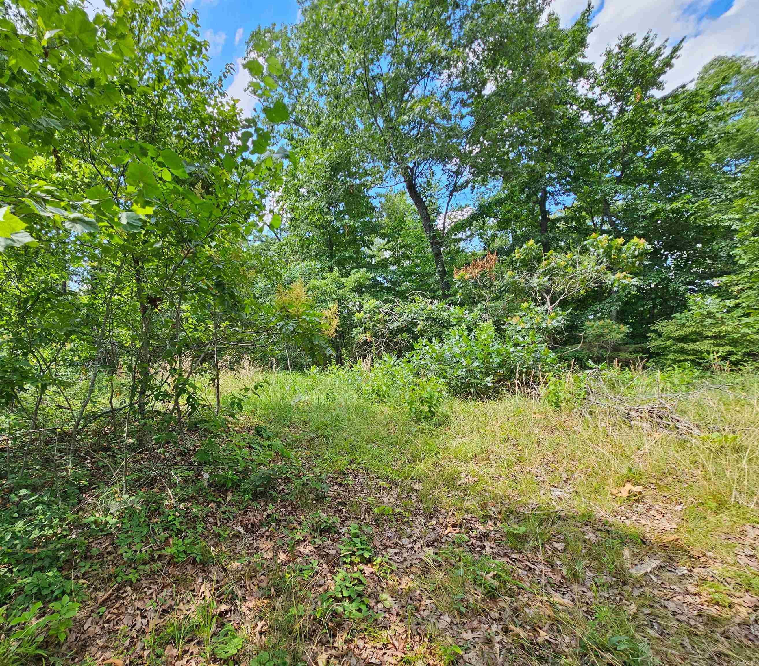 Hwy 333 Lime Drive Property Photo 7