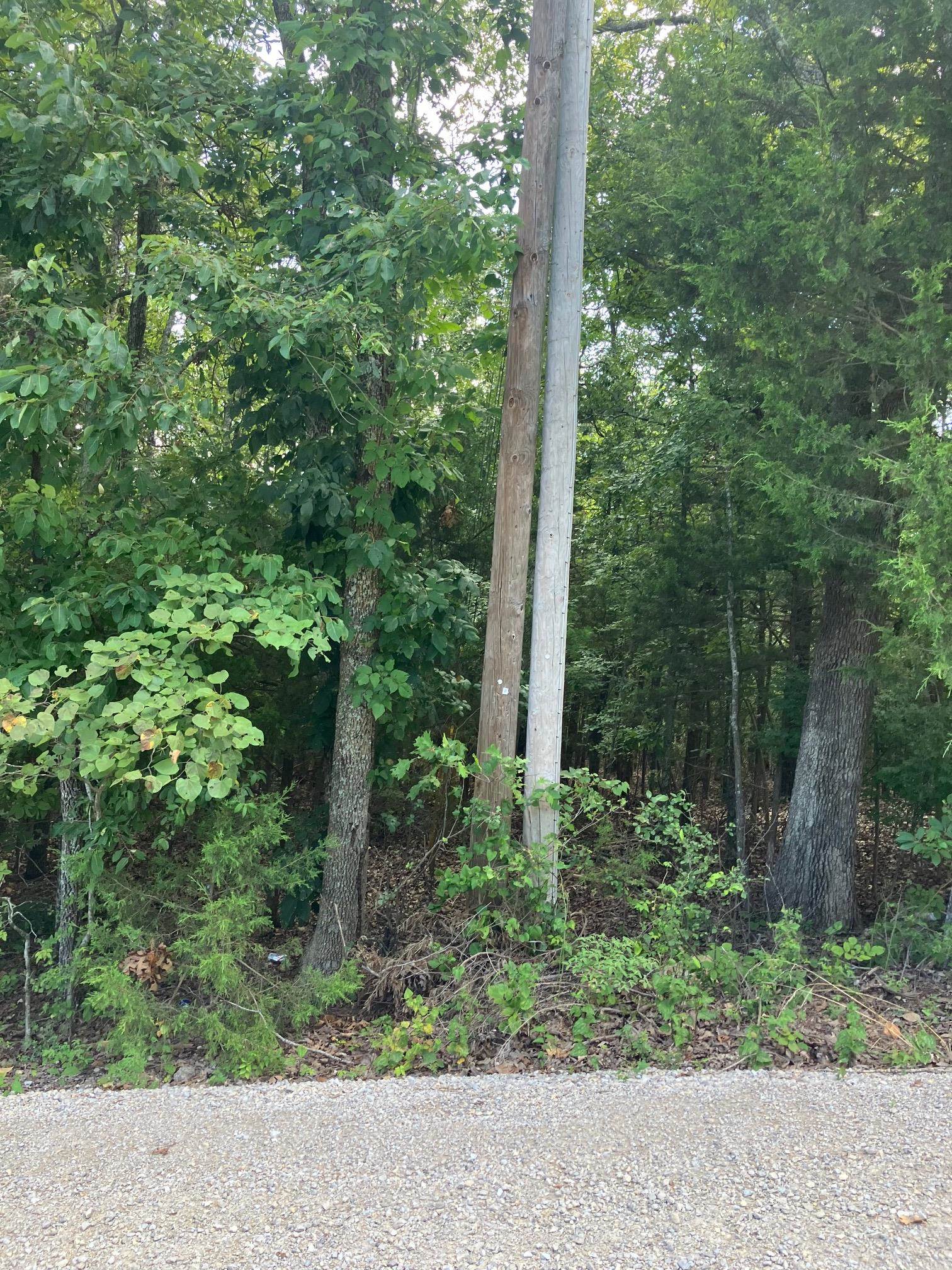 Tbd Larkspur Lane Property Photo 4