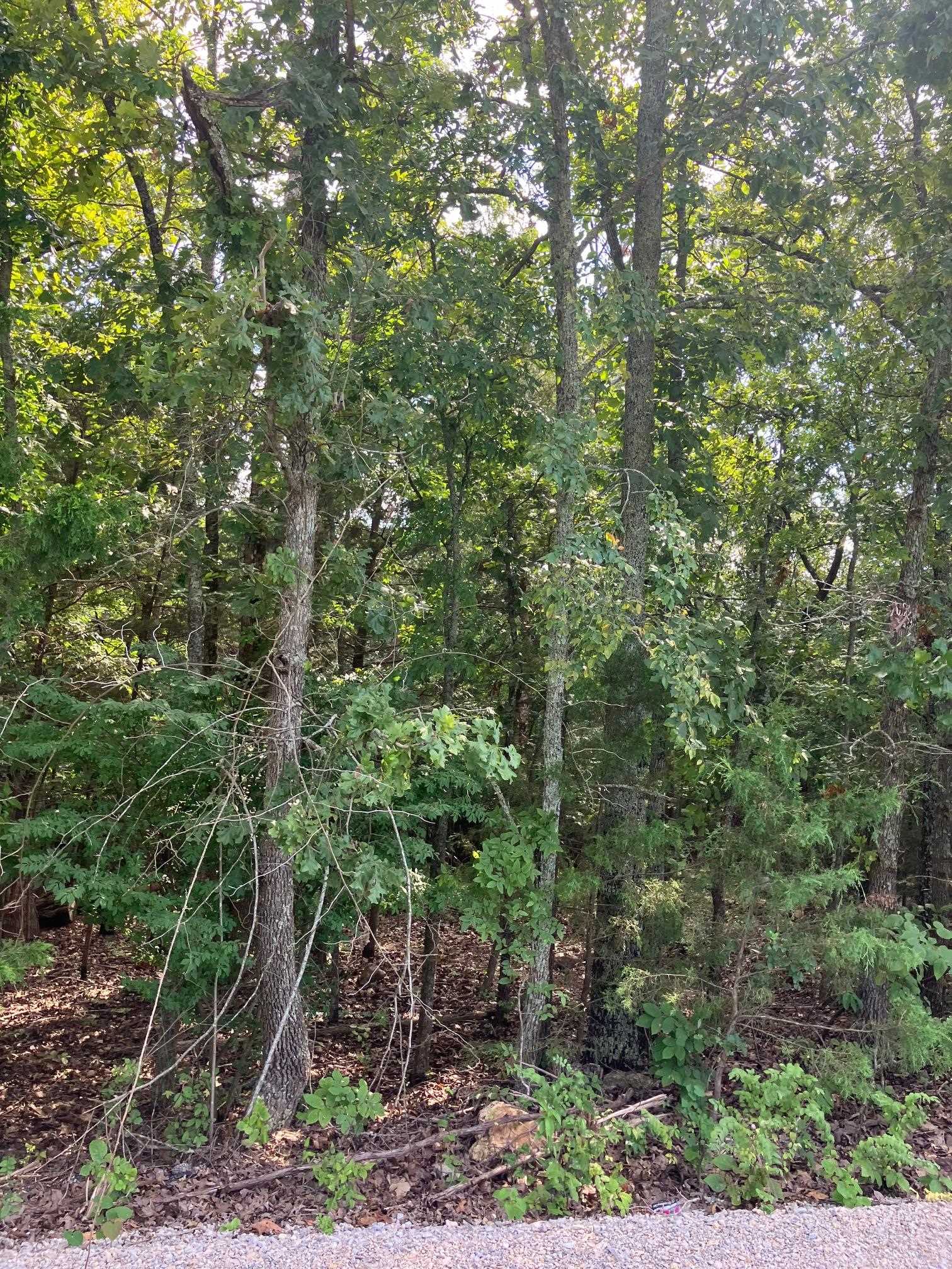 Tbd Larkspur Lane Property Photo 5