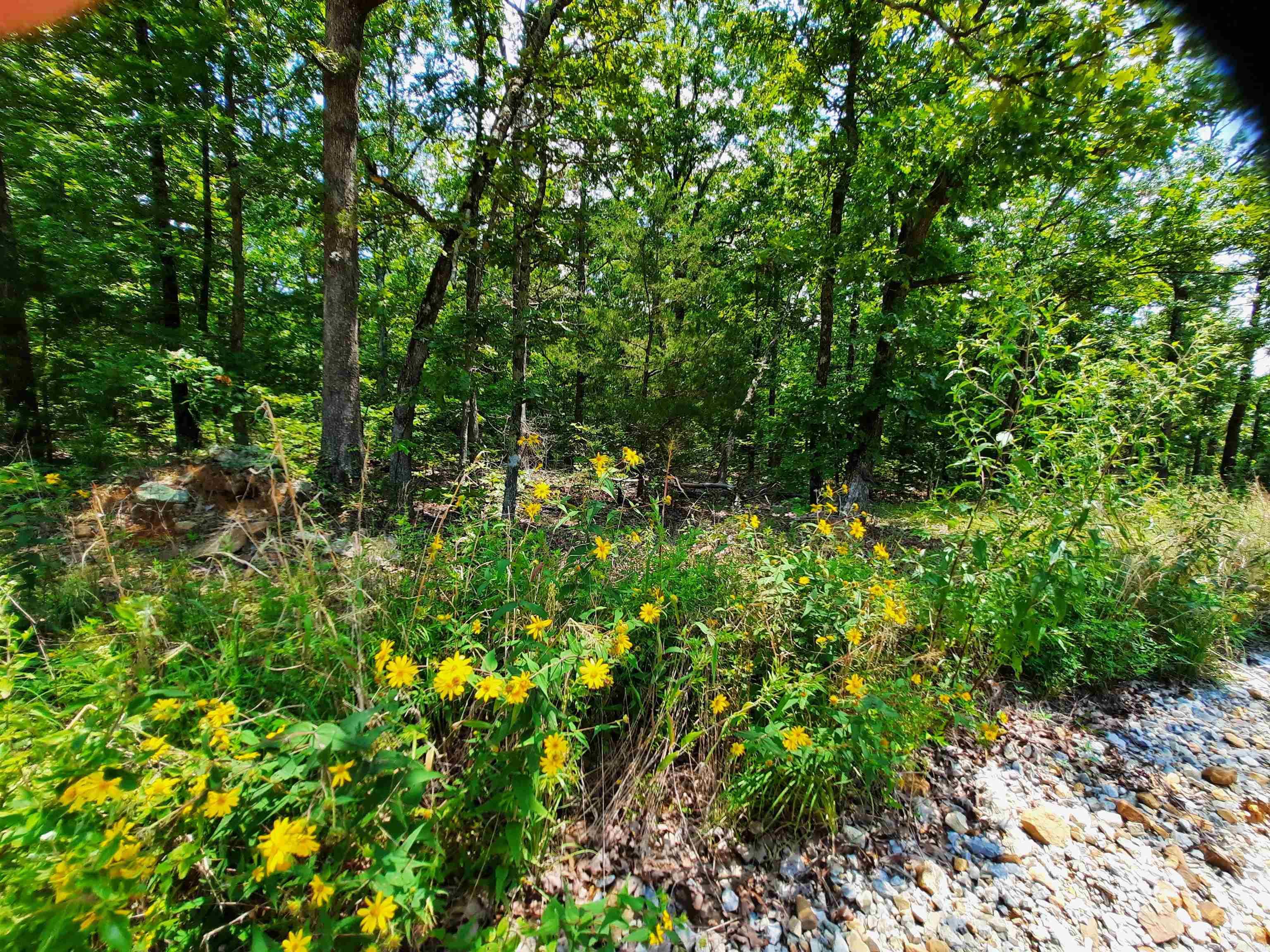 000 Wildflower Property Photo 2