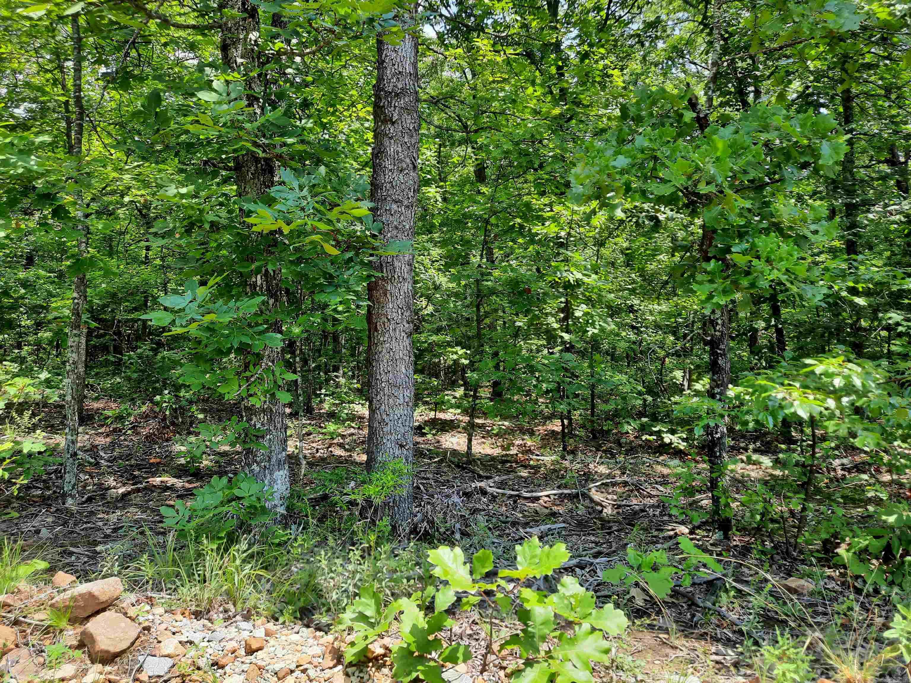 000 Wildflower Property Photo 16