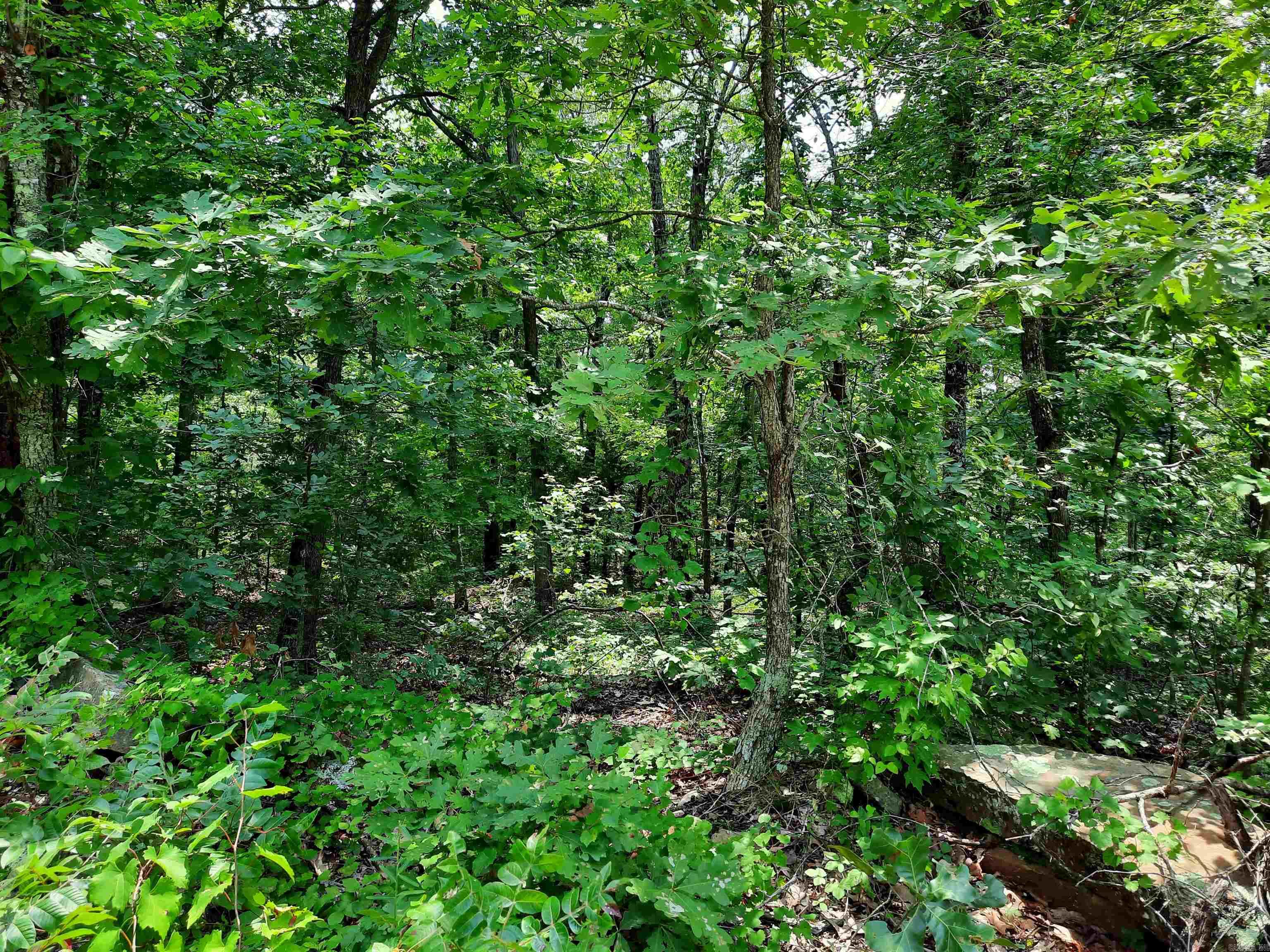 000 Wildflower Property Photo 21
