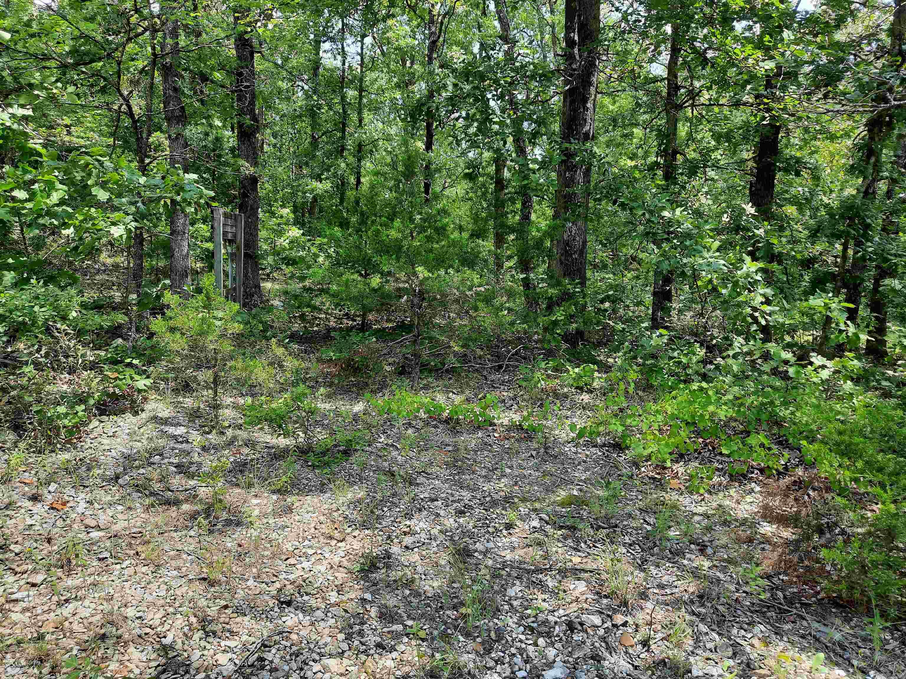 000 Wildflower Property Photo 31