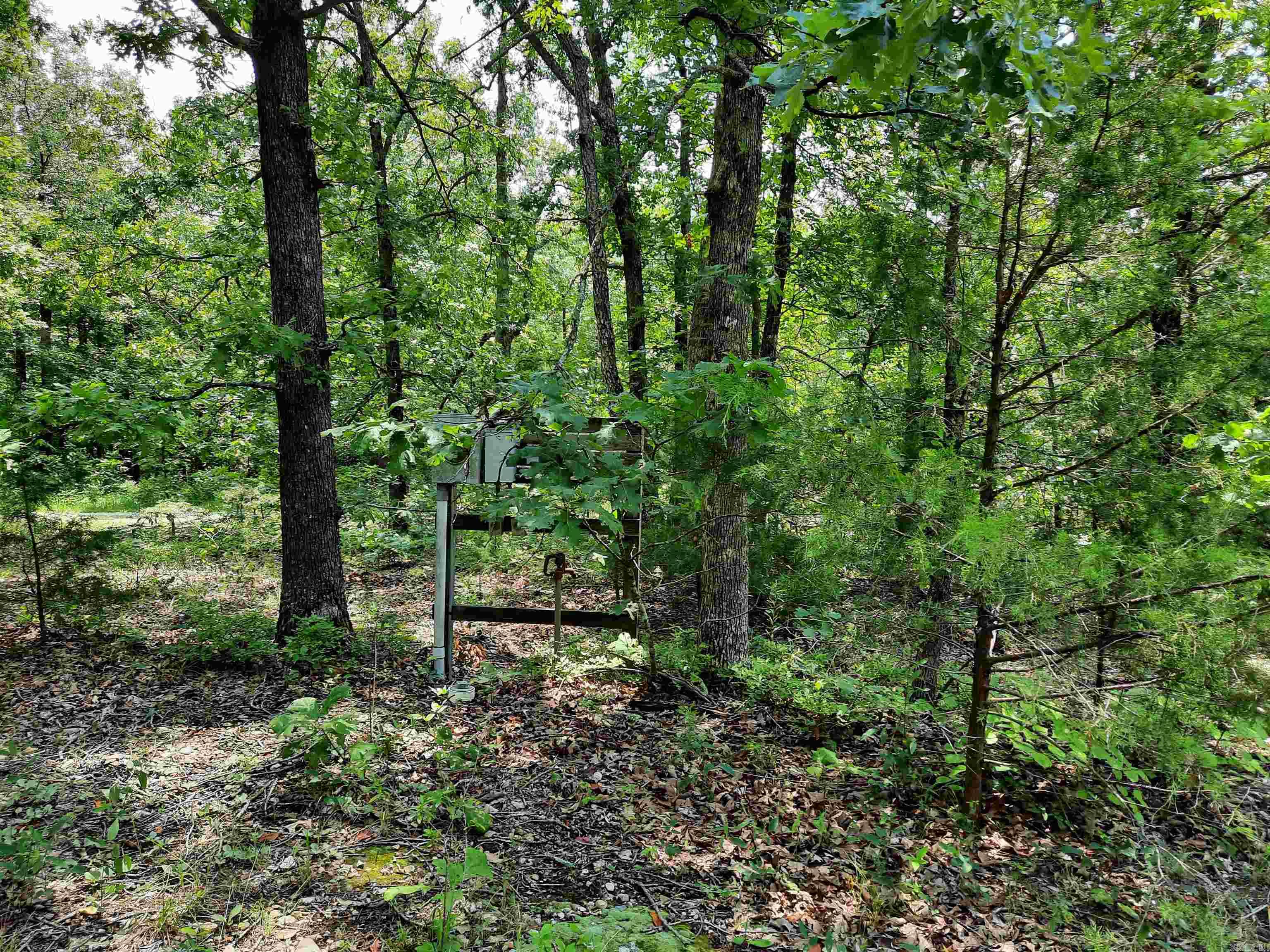000 Wildflower Property Photo 33