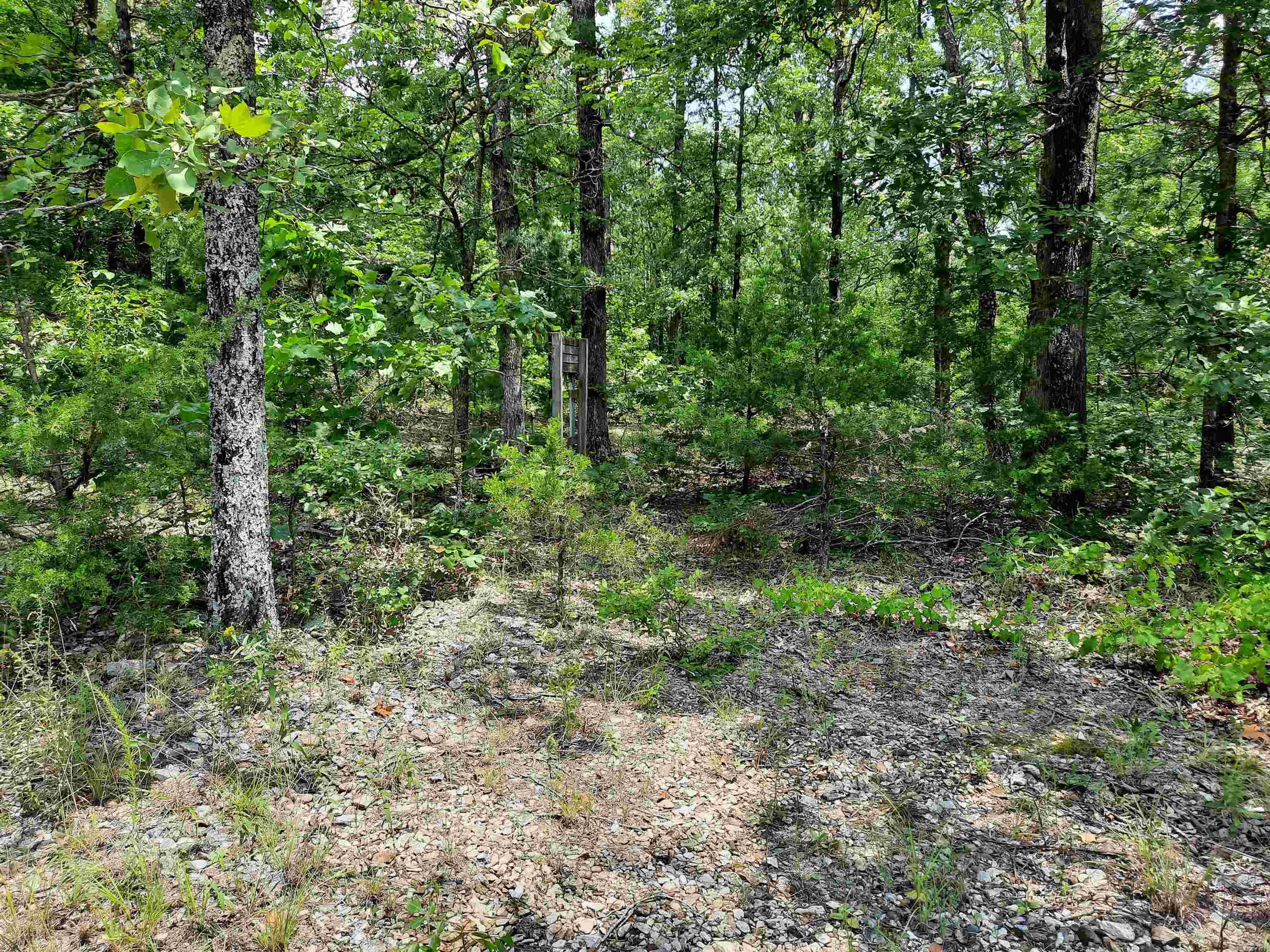 000 Wildflower Property Photo 36