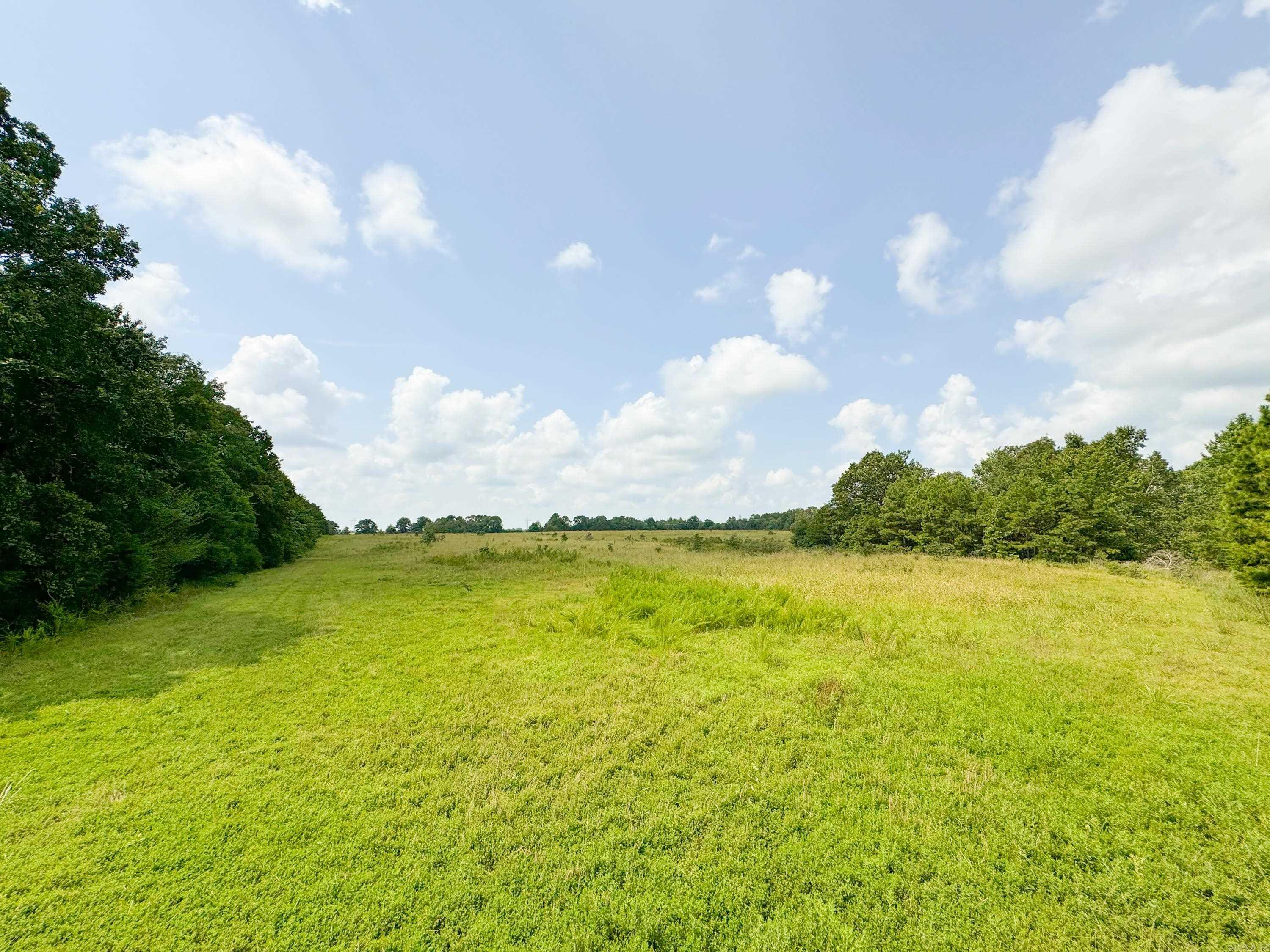 1300 Scroggins Creek Road Property Photo 2