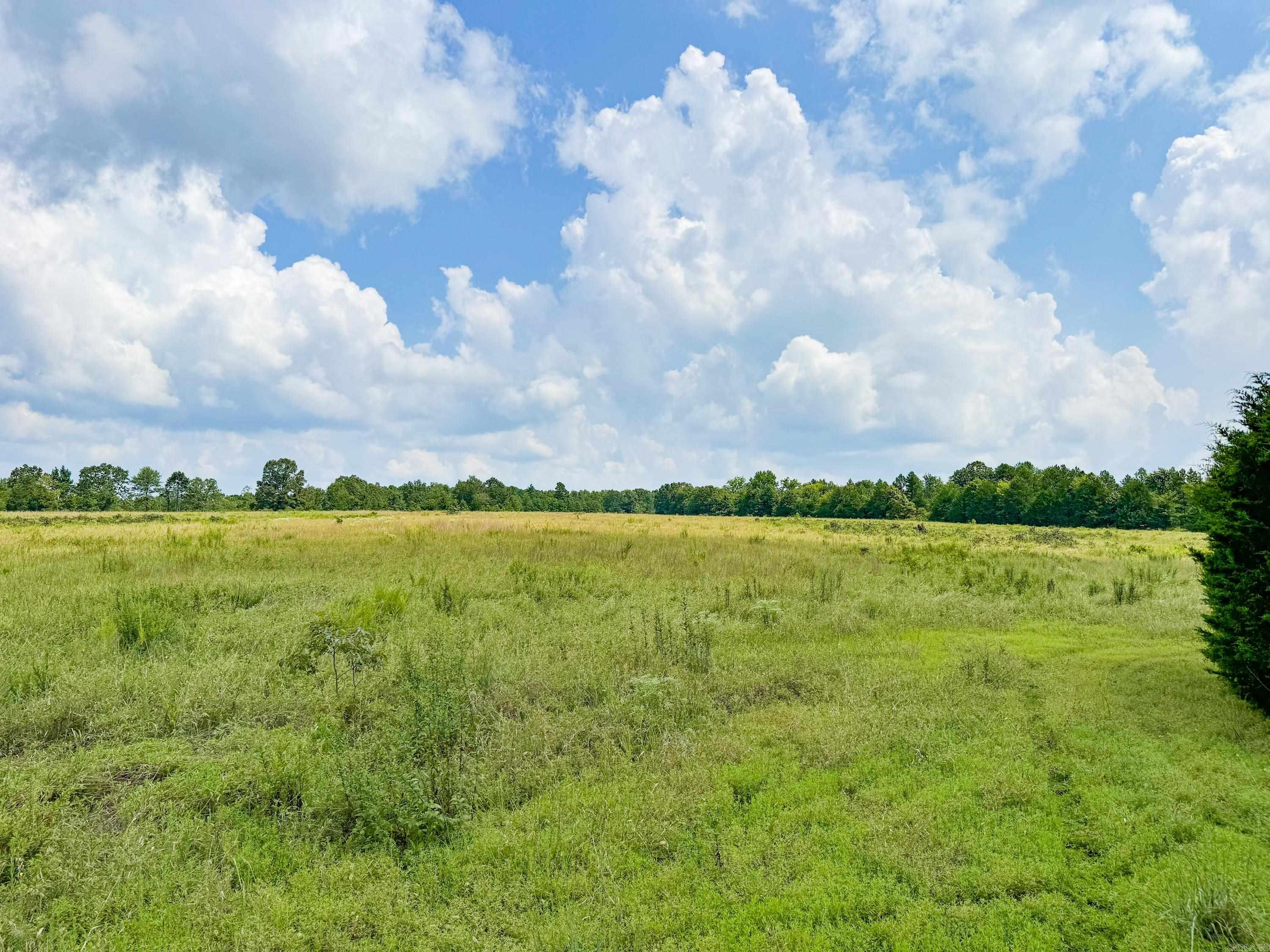 1300 Scroggins Creek Road Property Photo 3