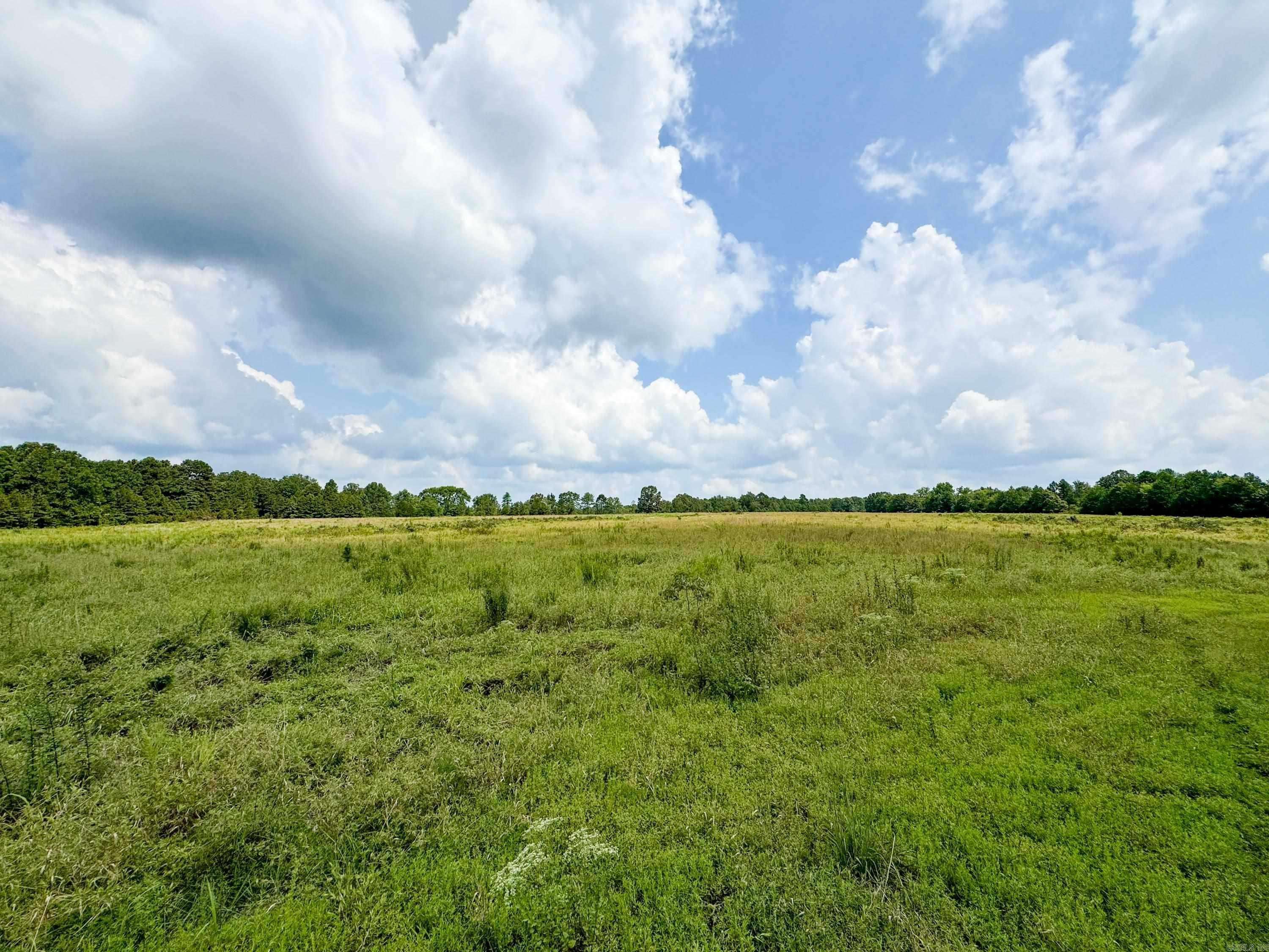 1300 Scroggins Creek Road Property Photo 5