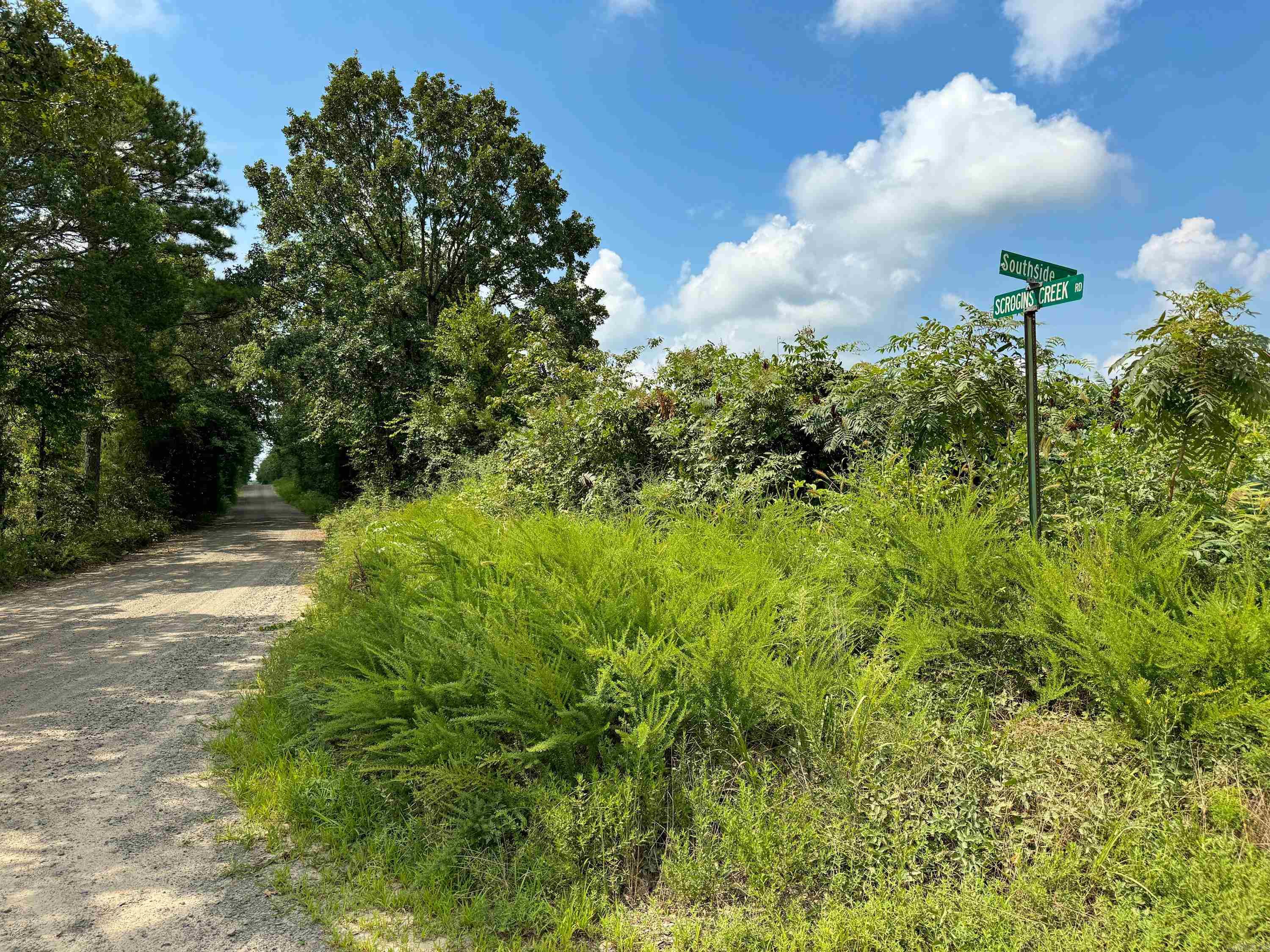 1300 Scroggins Creek Road Property Photo 6