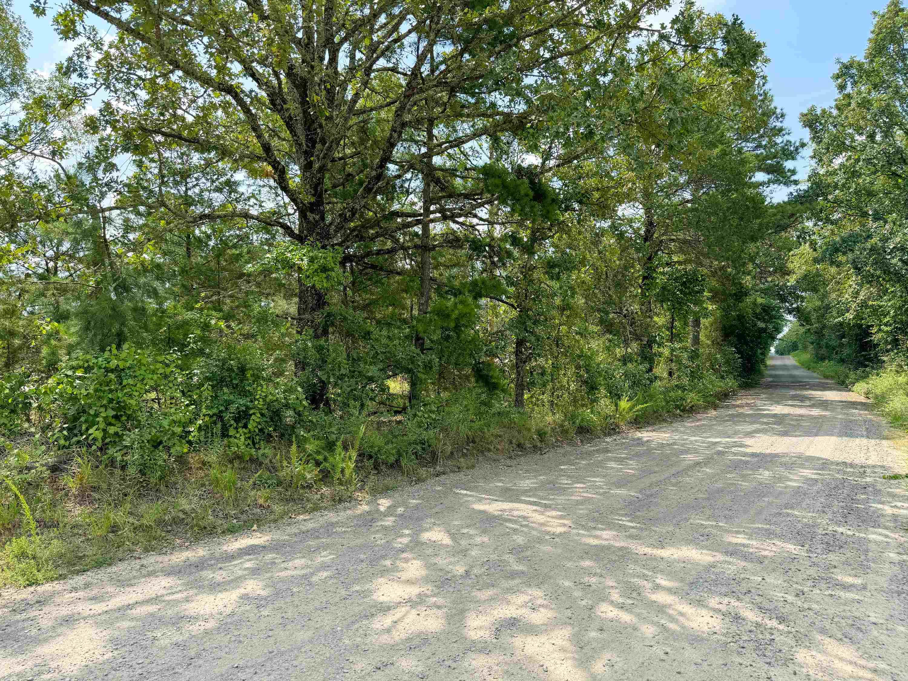 1300 Scroggins Creek Road Property Photo 7