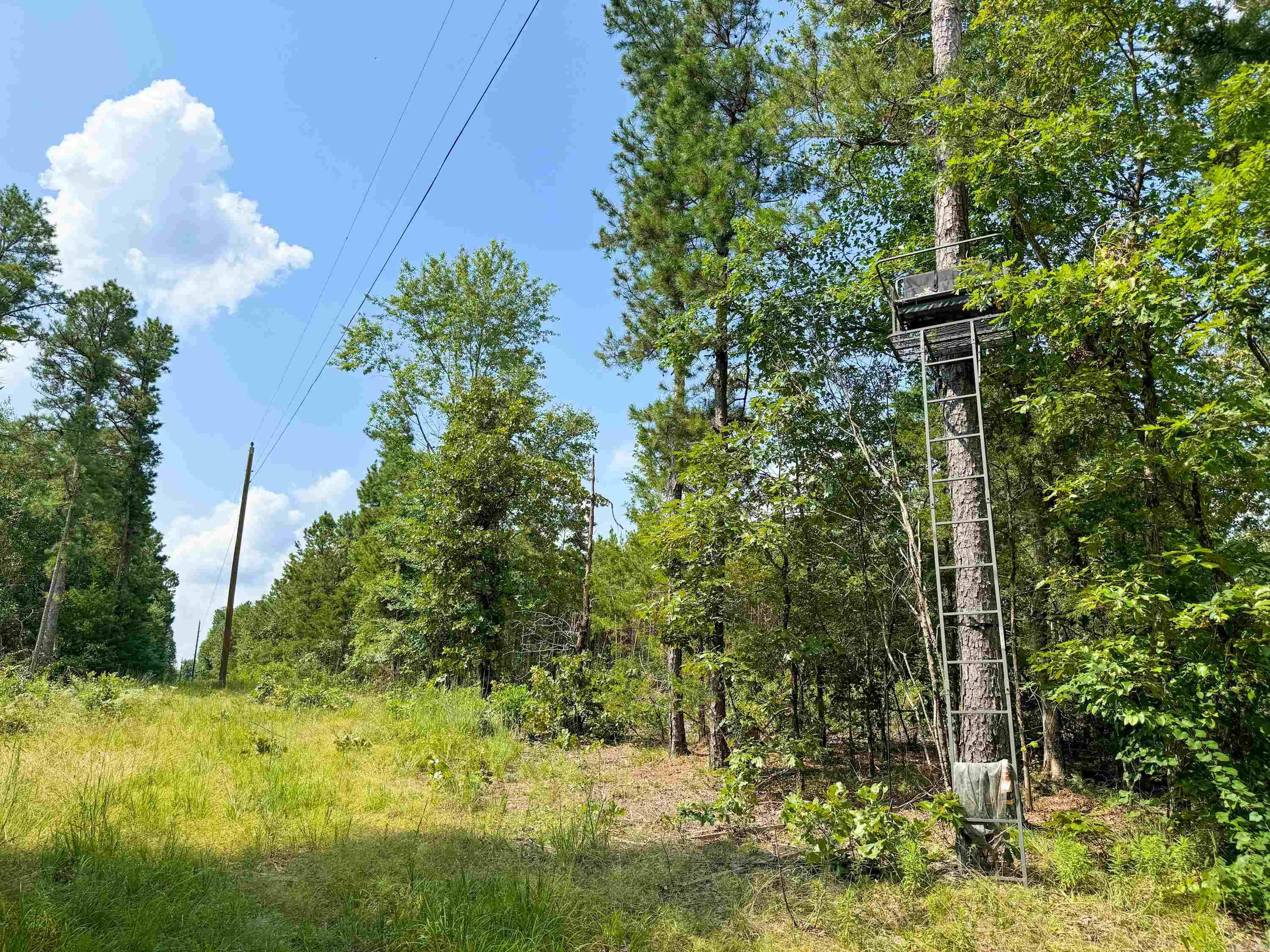 1300 Scroggins Creek Road Property Photo 8