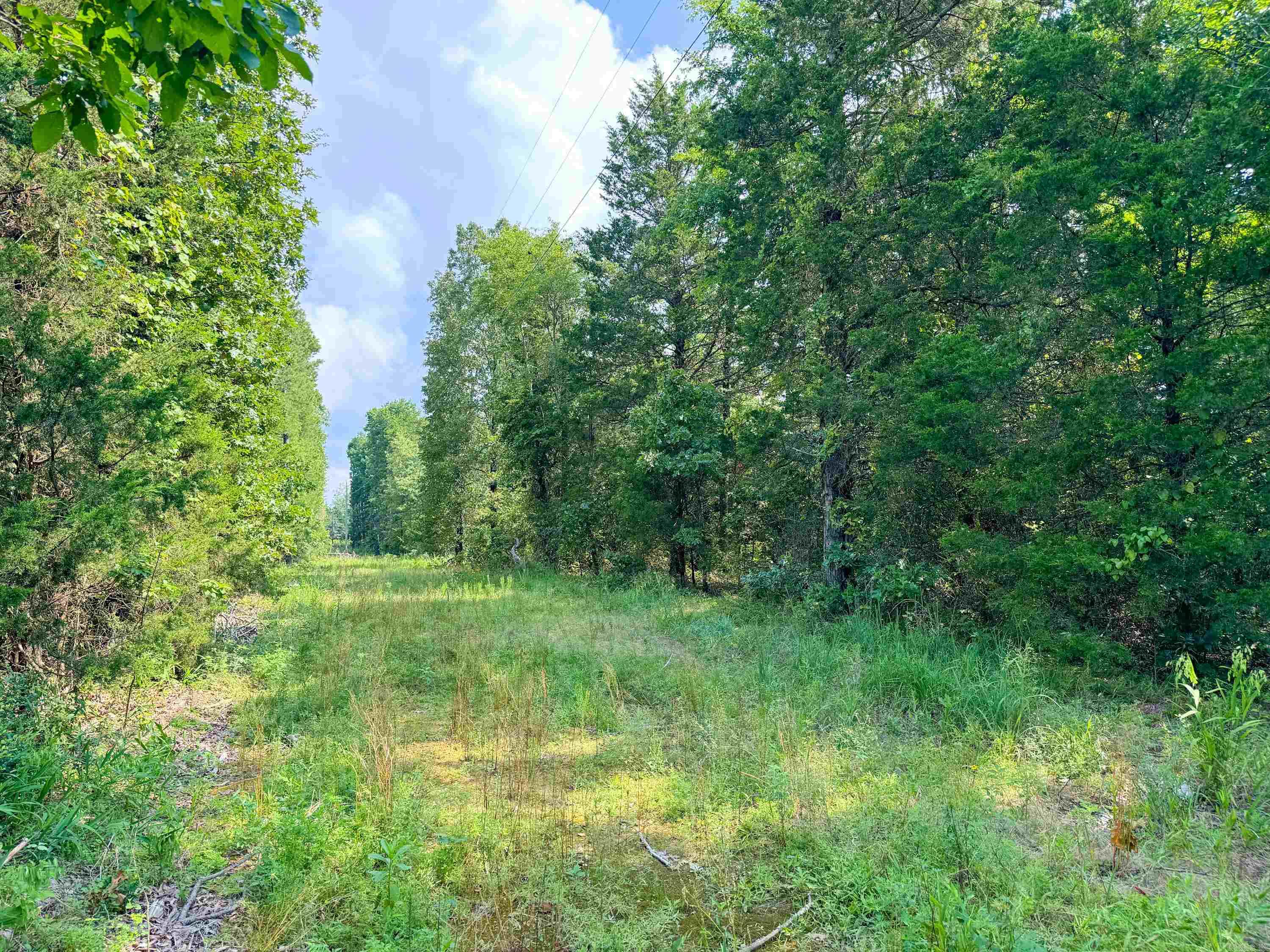 1300 Scroggins Creek Road Property Photo 9