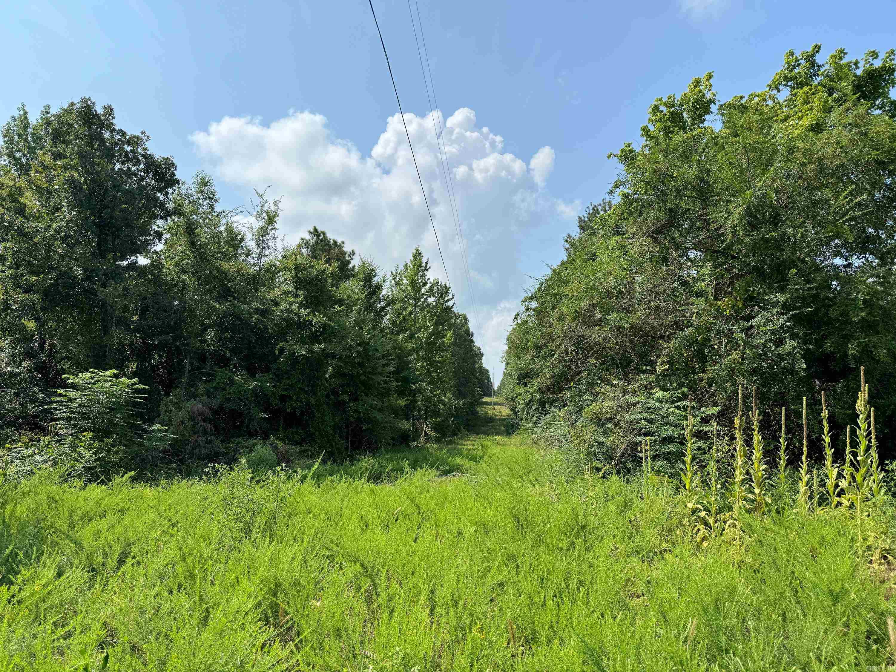 1300 Scroggins Creek Road Property Photo 11