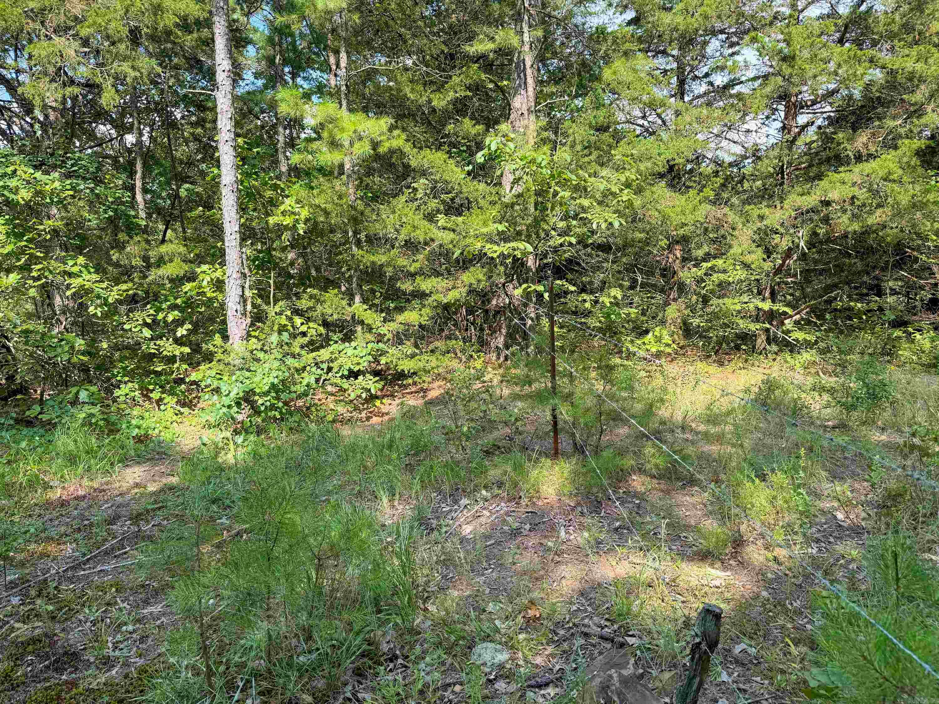 1300 Scroggins Creek Road Property Photo 12