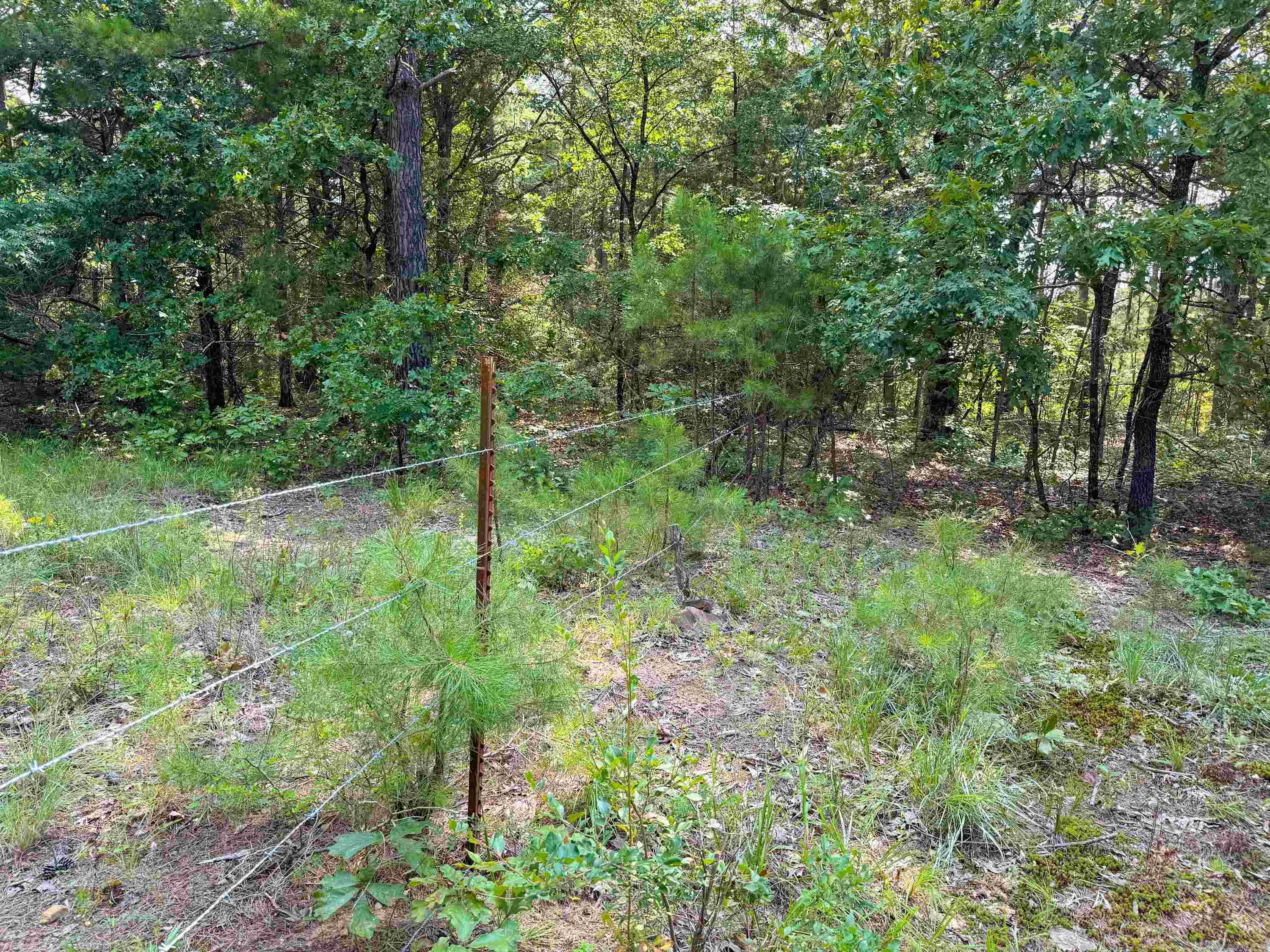 1300 Scroggins Creek Road Property Photo 13