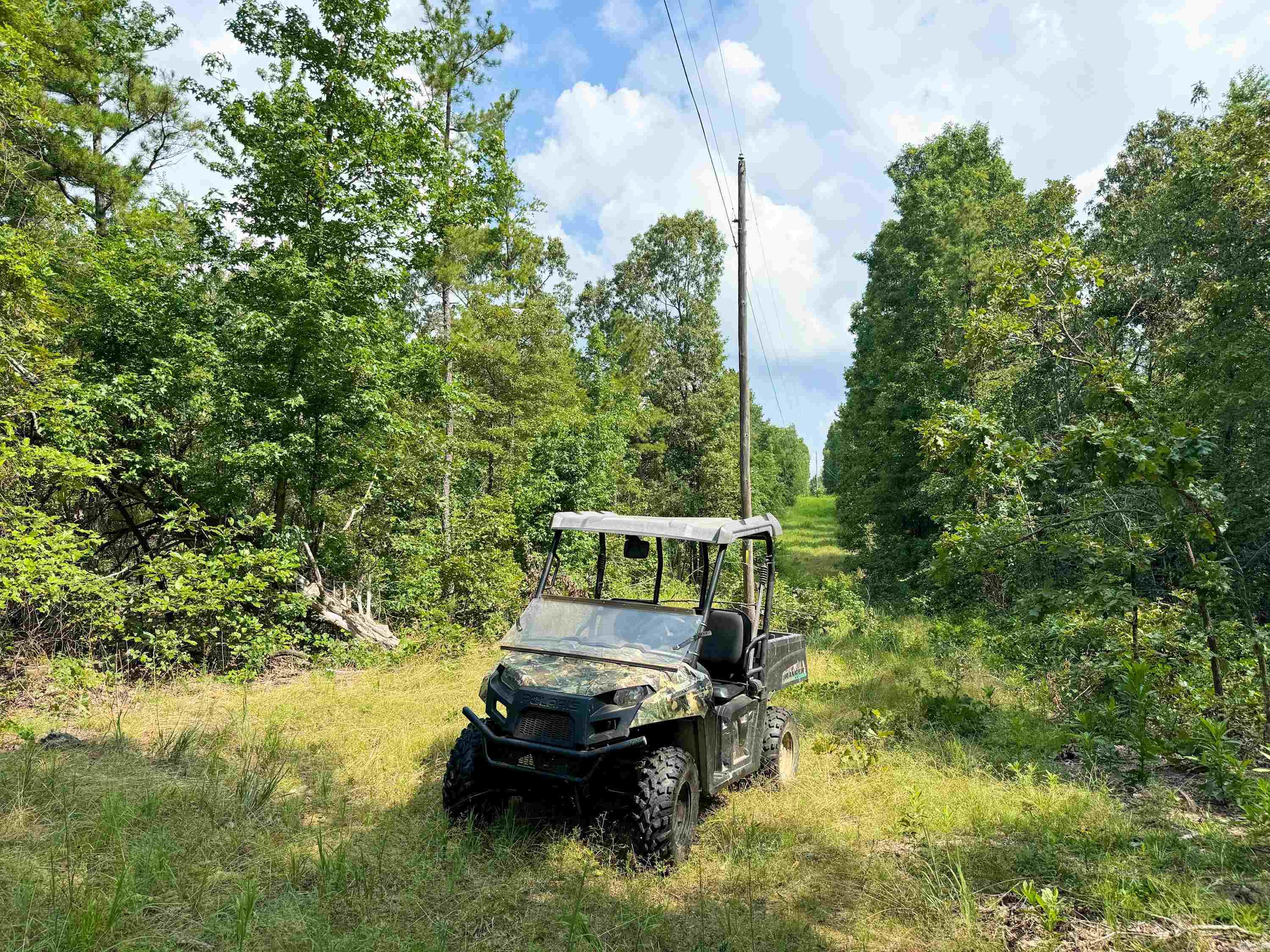 1300 Scroggins Creek Road Property Photo 15