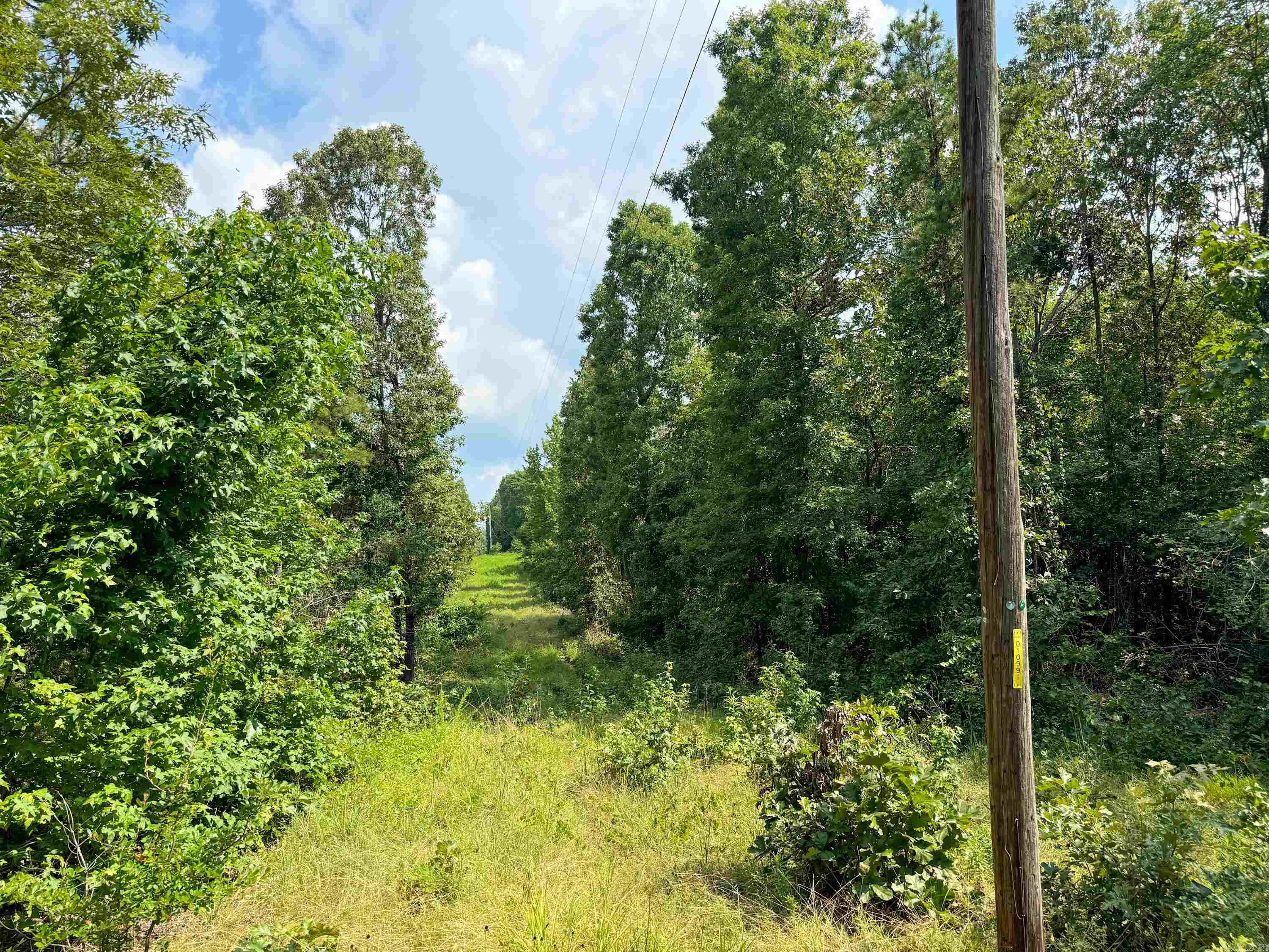 1300 Scroggins Creek Road Property Photo 16