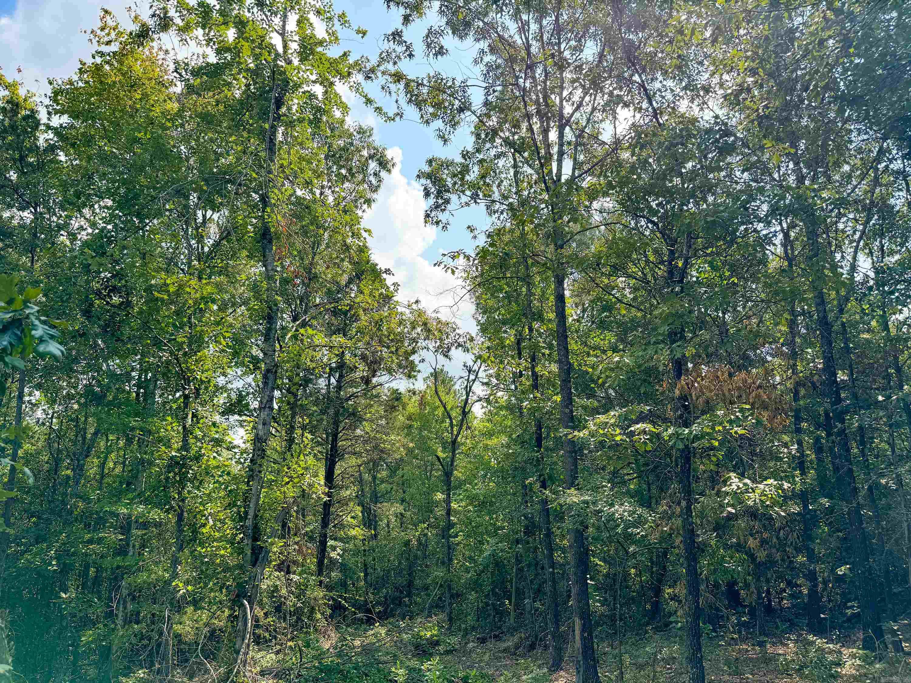 1300 Scroggins Creek Road Property Photo 17