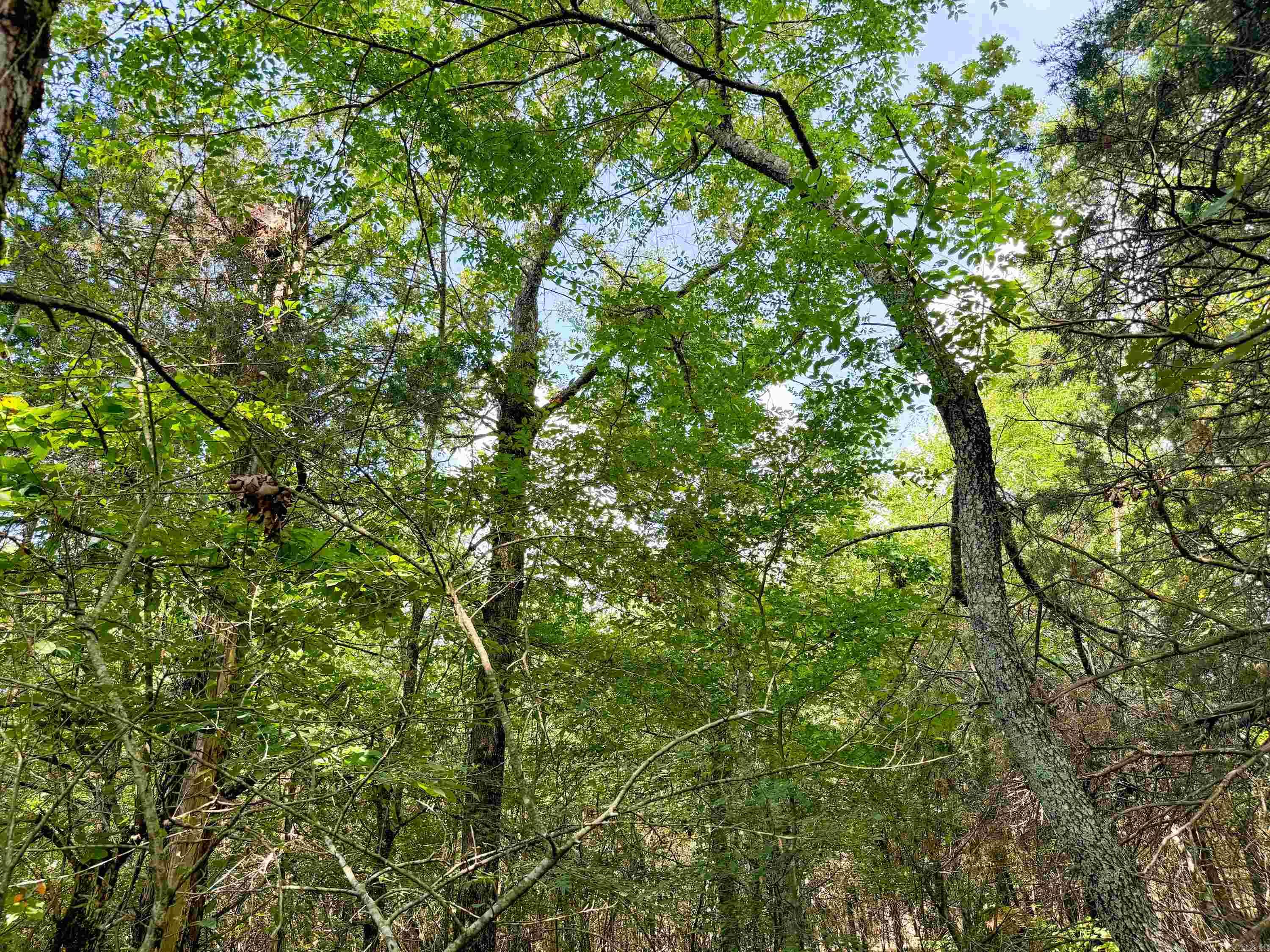 1300 Scroggins Creek Road Property Photo 20
