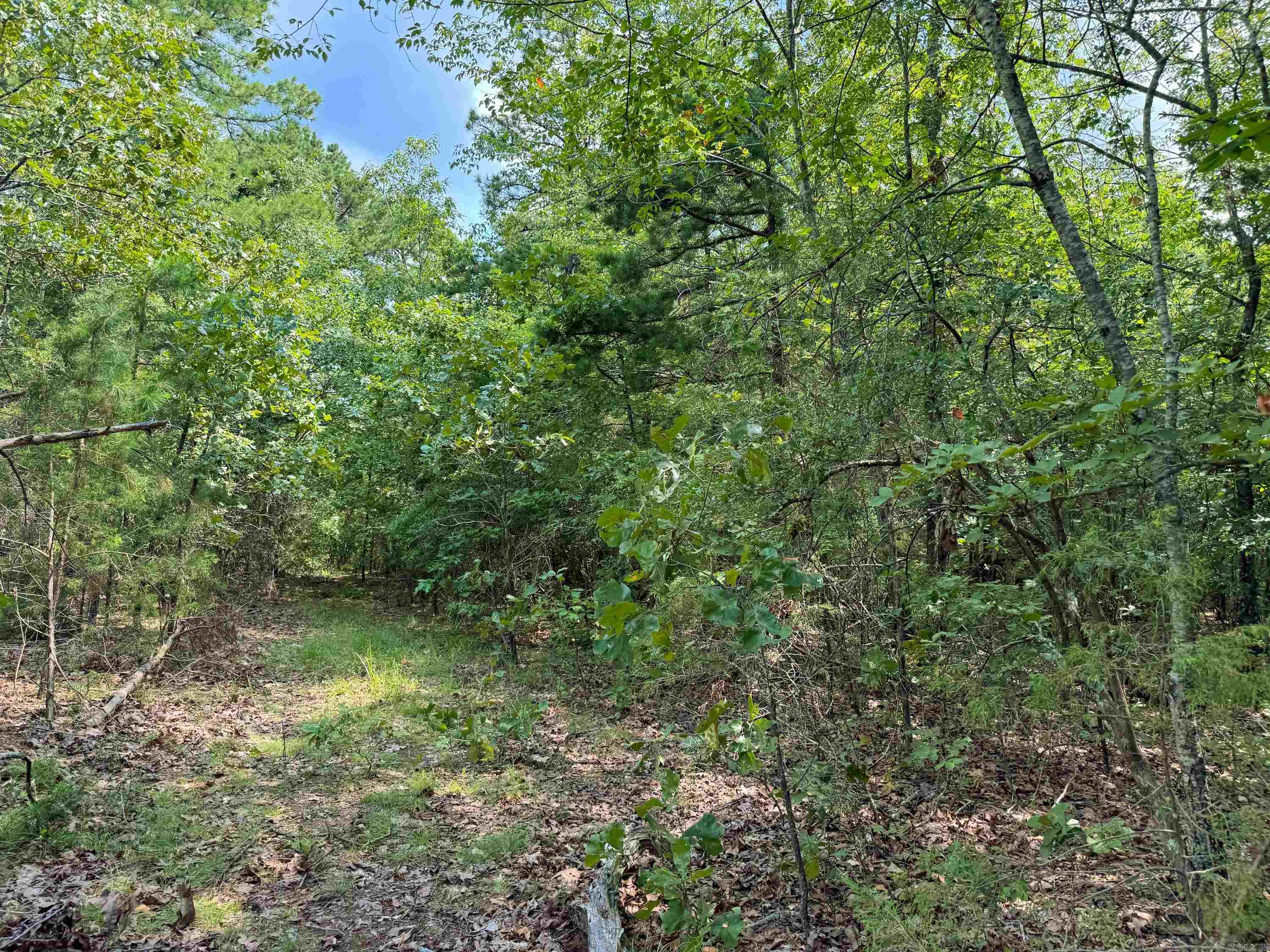 1300 Scroggins Creek Road Property Photo 22