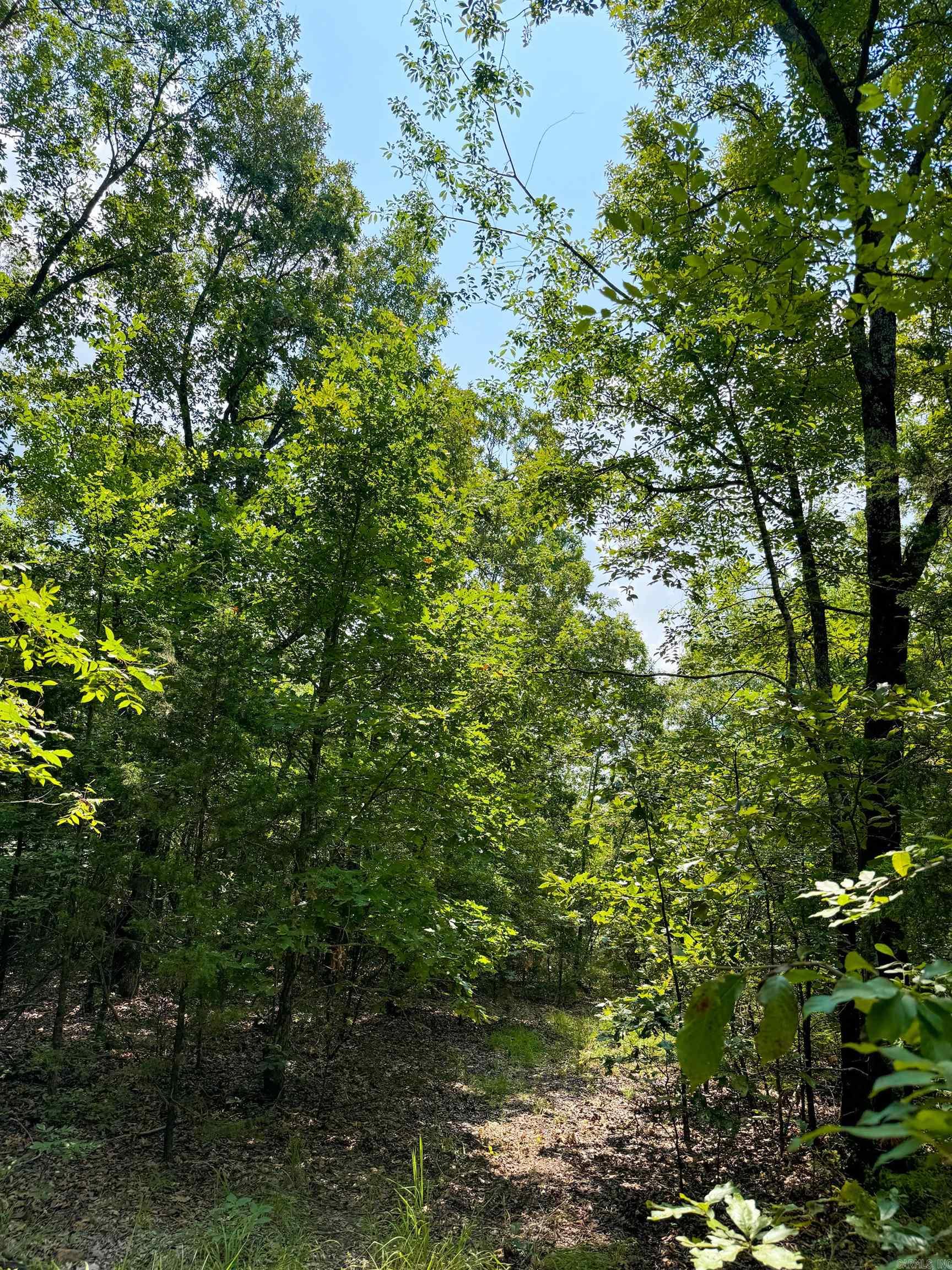 1300 Scroggins Creek Road Property Photo 24
