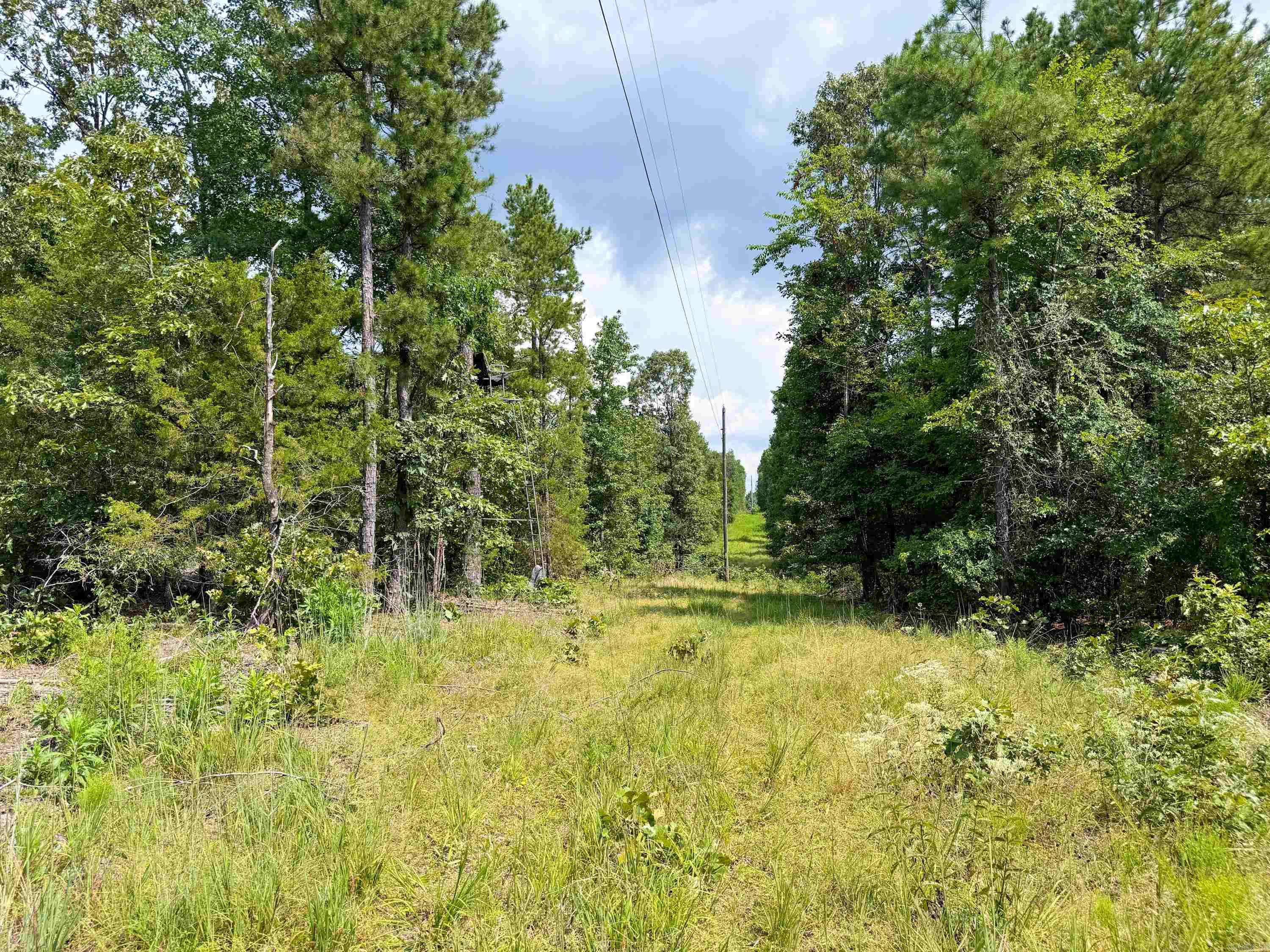 1300 Scroggins Creek Road Property Photo 26