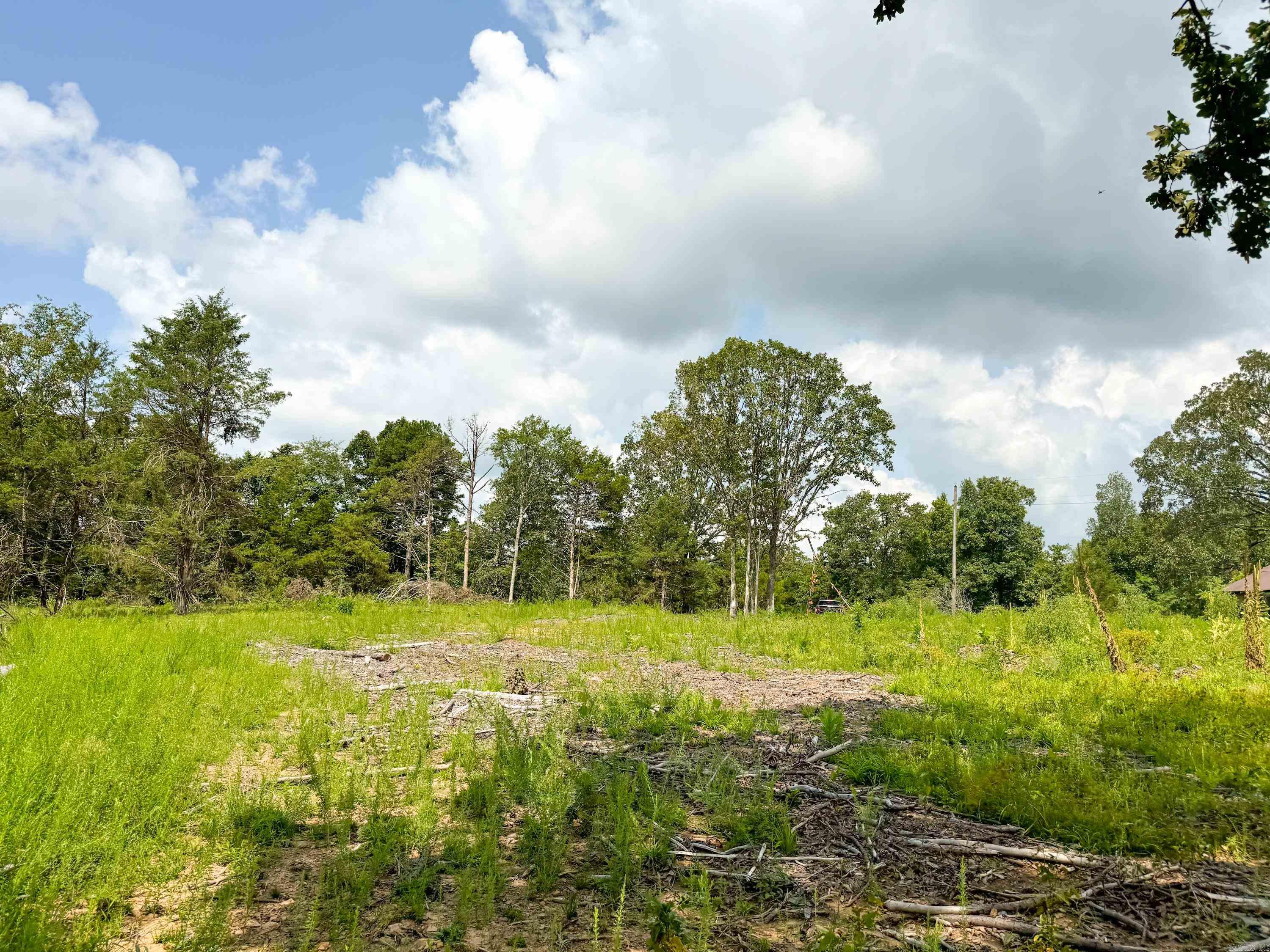 1300 Scroggins Creek Road Property Photo 27