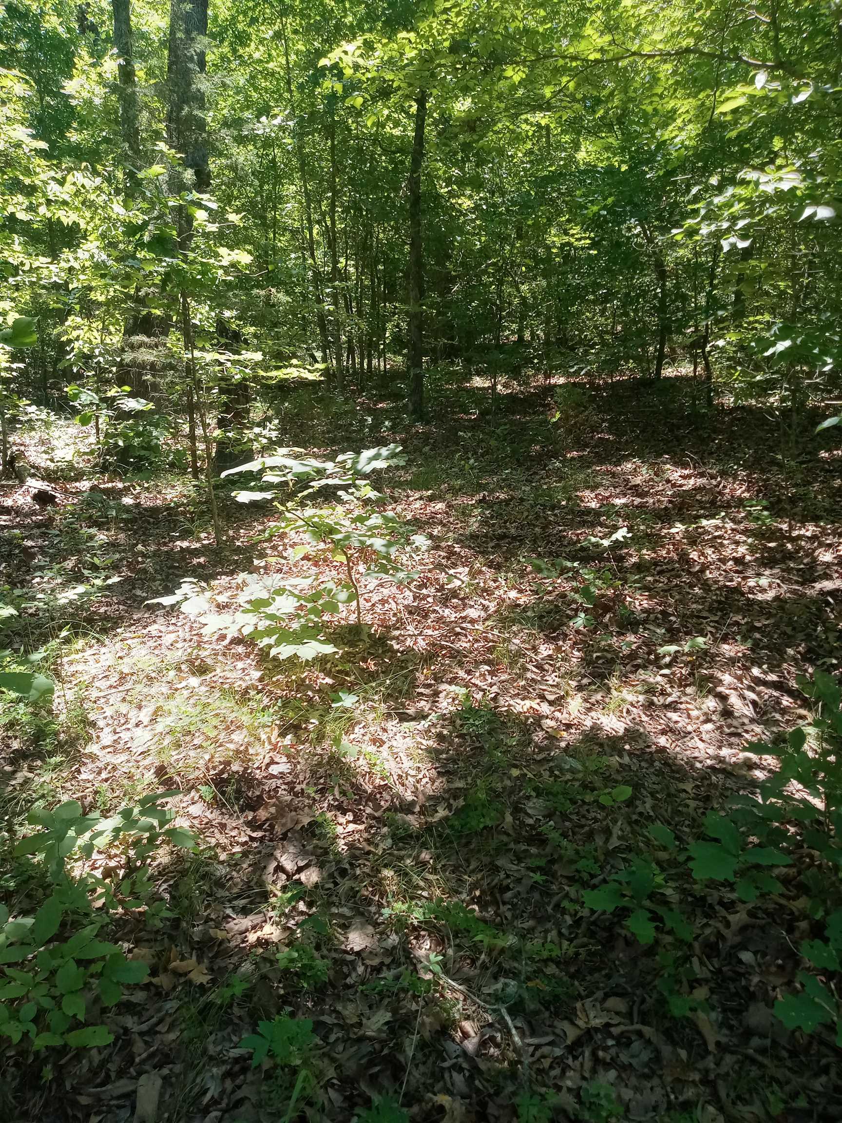 Glenn Forest 2 Real Estate Listings Main Image