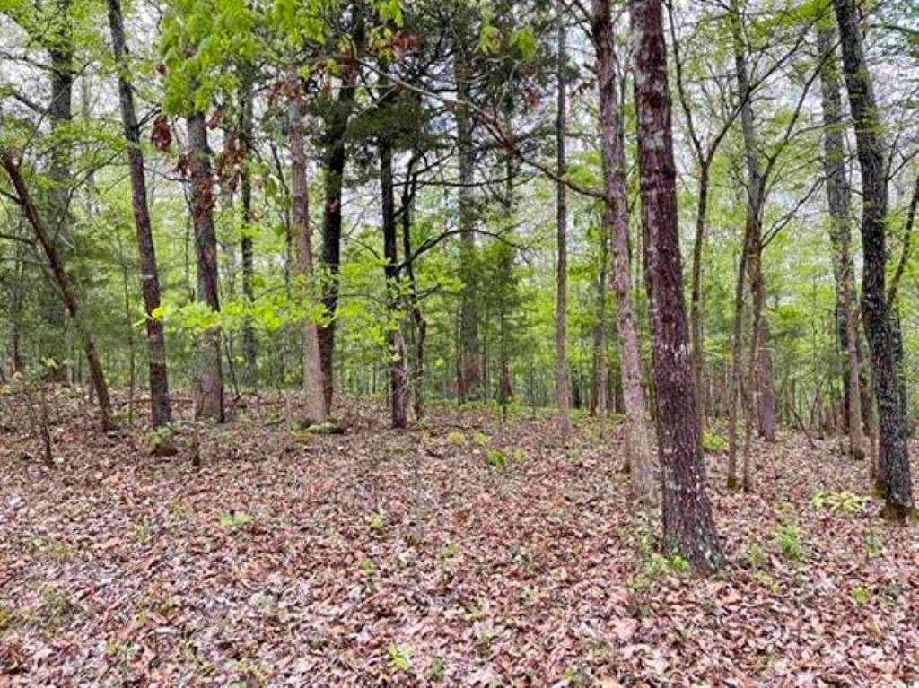 0 Timbercrest Road Property Photo 1