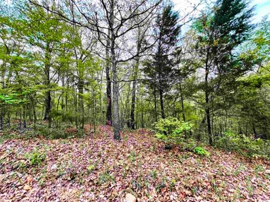 0 Timbercrest Road Property Photo 8