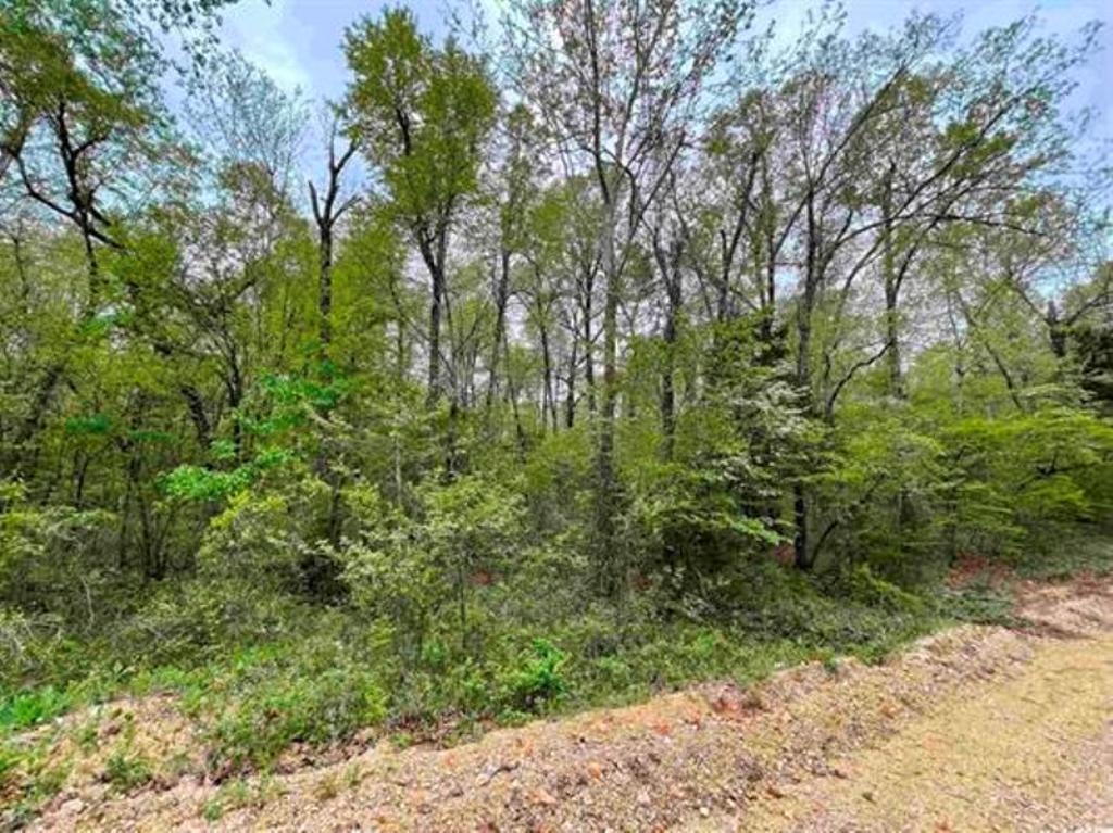 0 Timbercrest Road Property Photo 9
