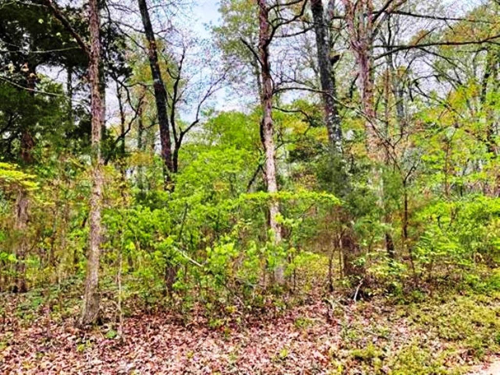 0 Timbercrest Road Property Photo 12
