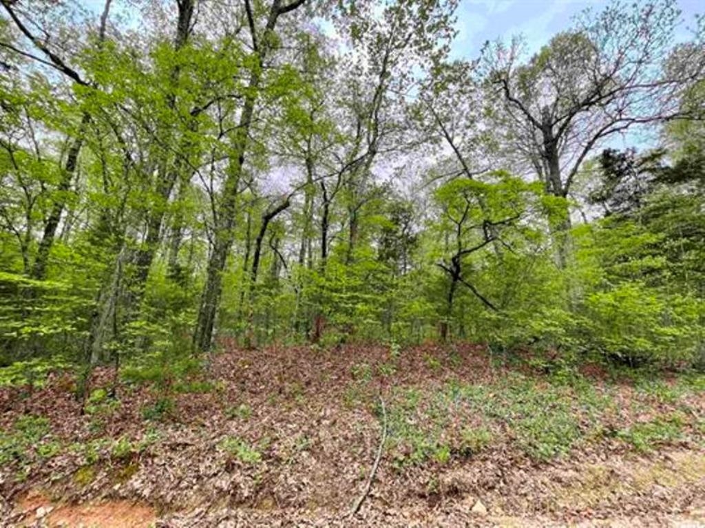 0 Timbercrest Road Property Photo 13