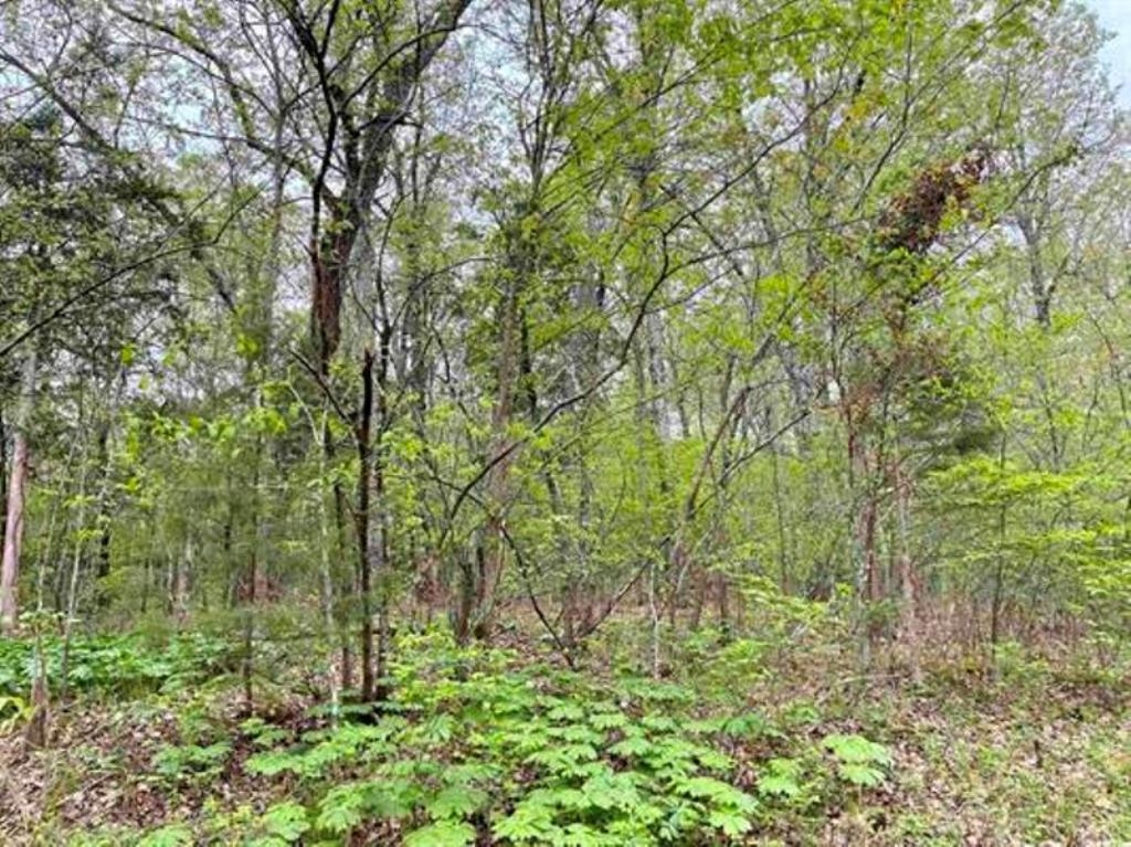 0 Timbercrest Road Property Photo 15