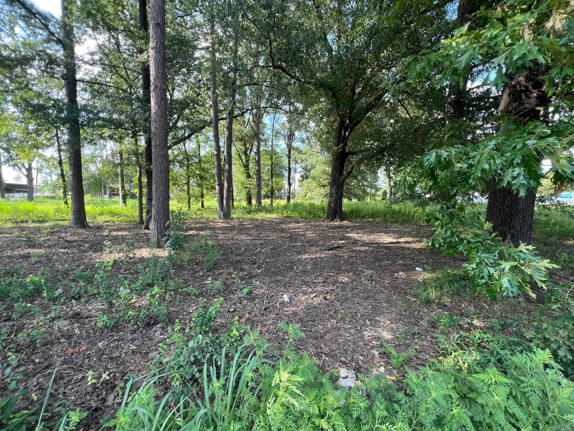6100 Young Road Property Photo 1