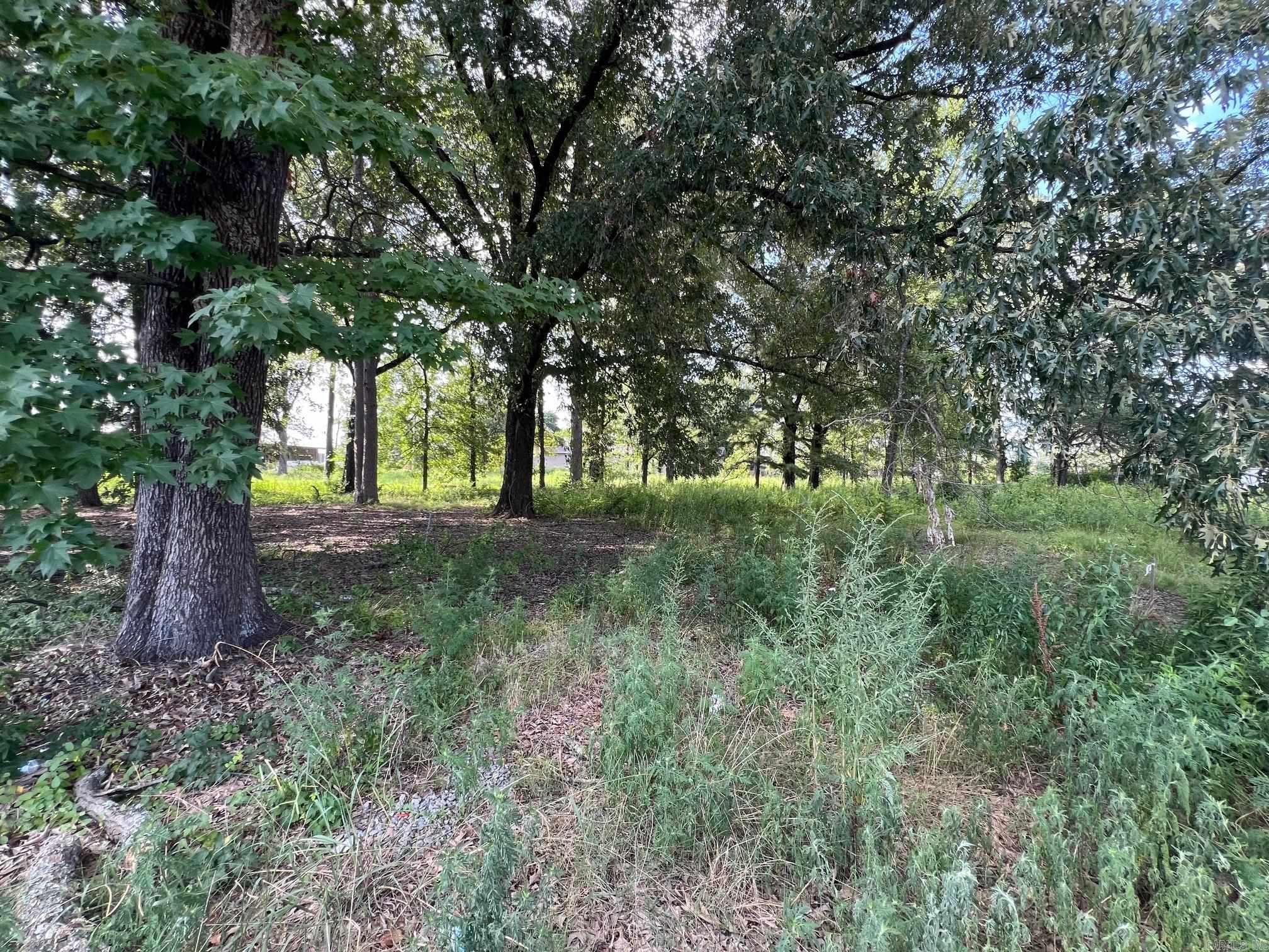 6100 Young Road Property Photo 2
