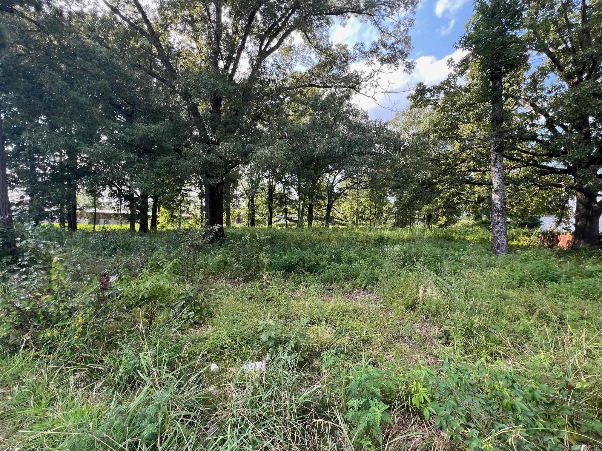 6100 Young Road Property Photo 3