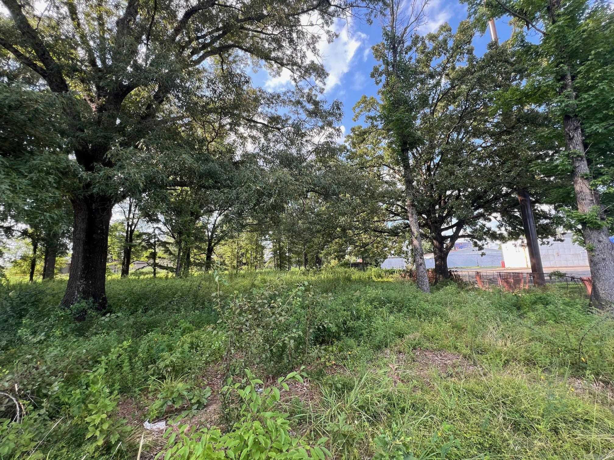 6100 Young Road Property Photo 4