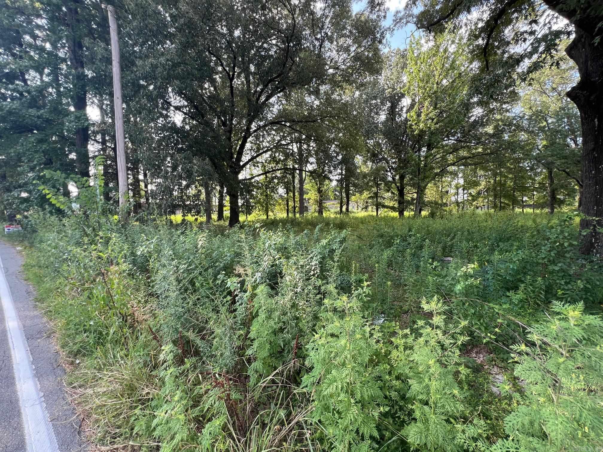 6100 Young Road Property Photo 7