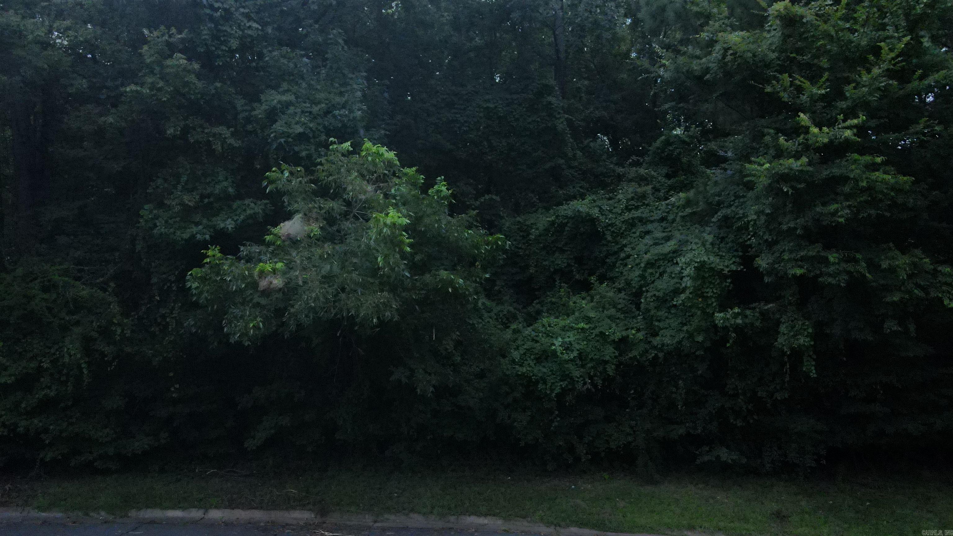 Tbd North Park Drive Property Photo 1
