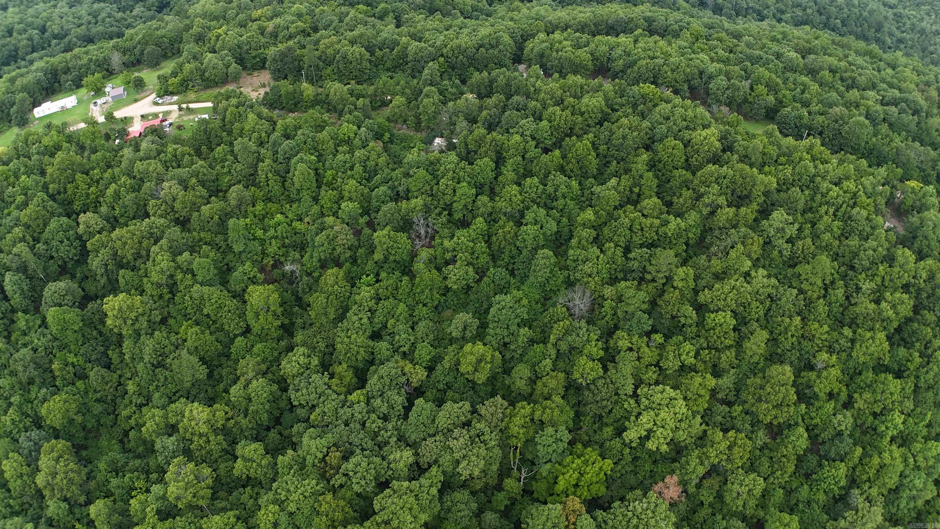 1267 Brushy Fork Property Photo 3