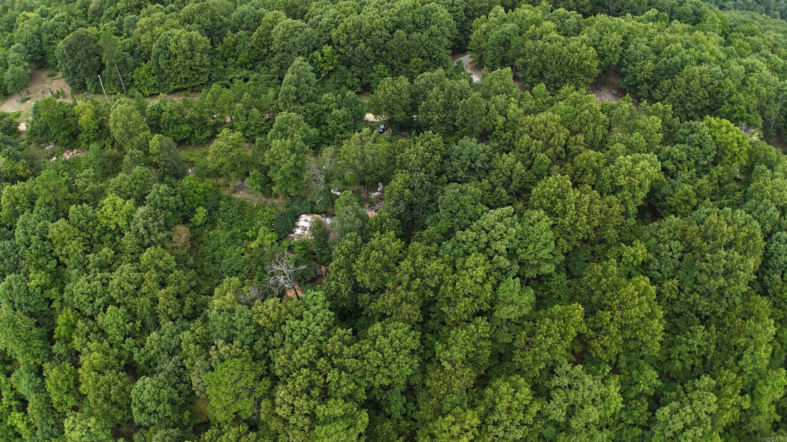 1267 Brushy Fork Property Photo 4