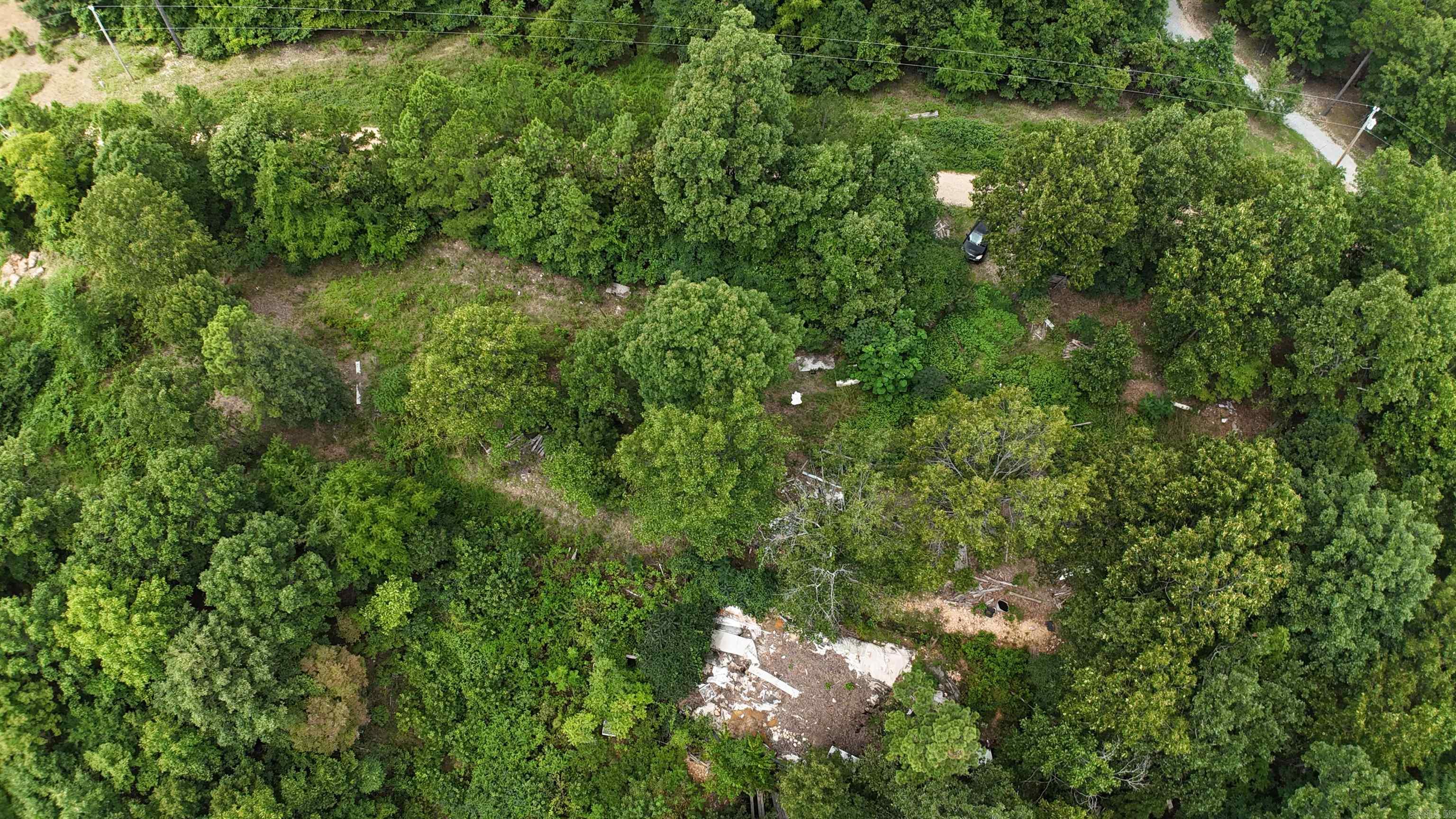1267 Brushy Fork Property Photo 5